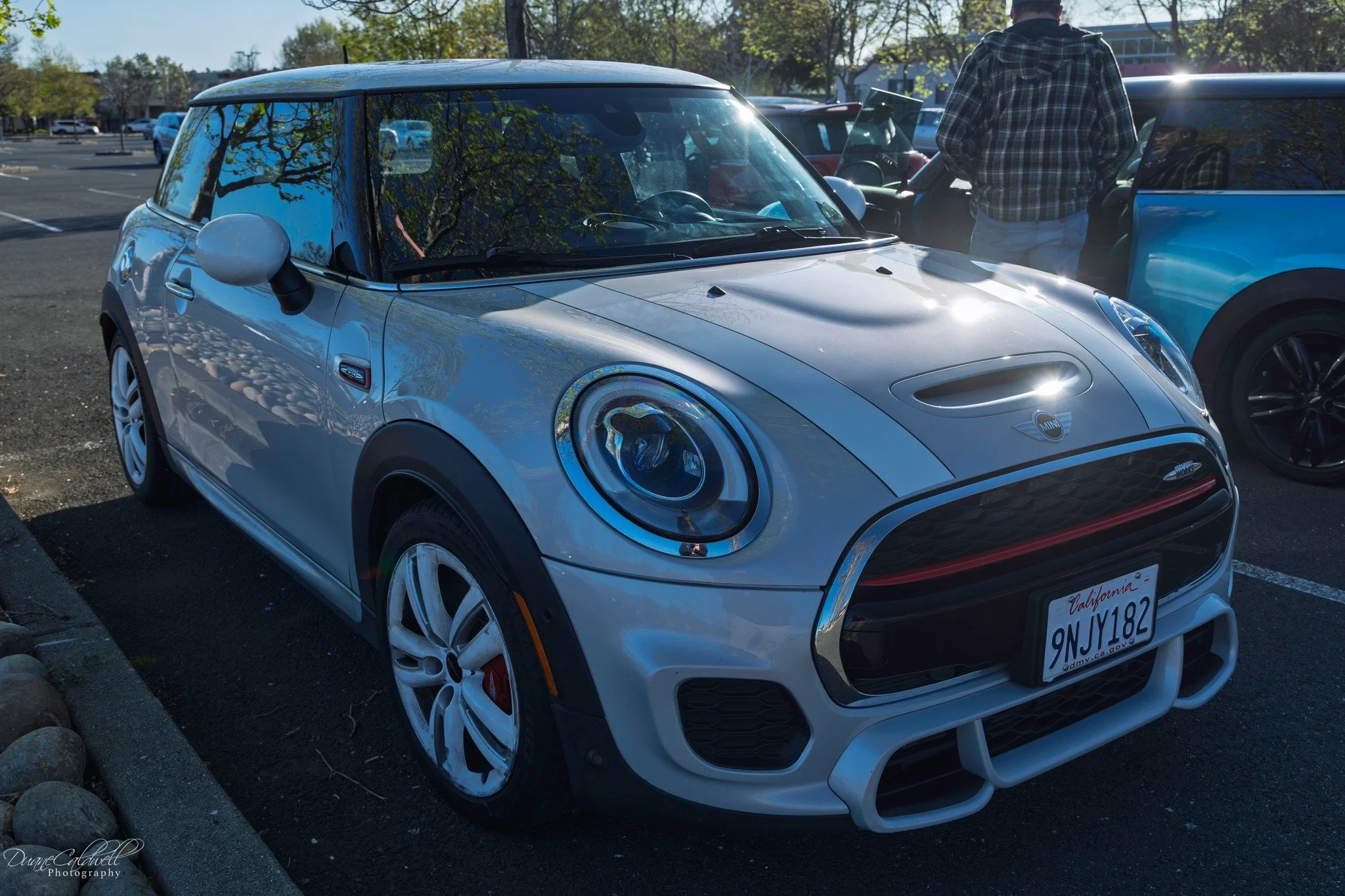 26-03 - jelly-belly - gray-white-f56.jpg