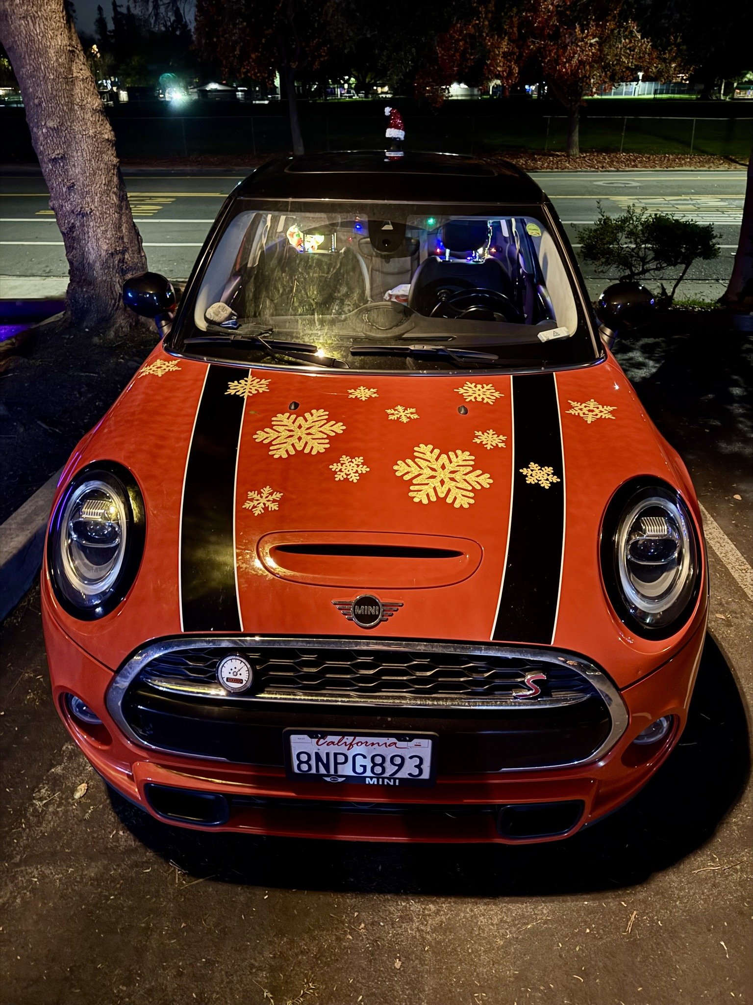 25-12 - xmas-lights - orange-f56.jpg