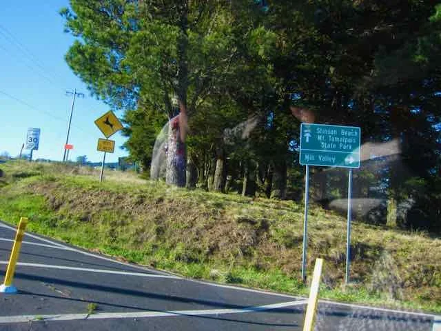 26-02 - stinson-beach - stinson.jpeg