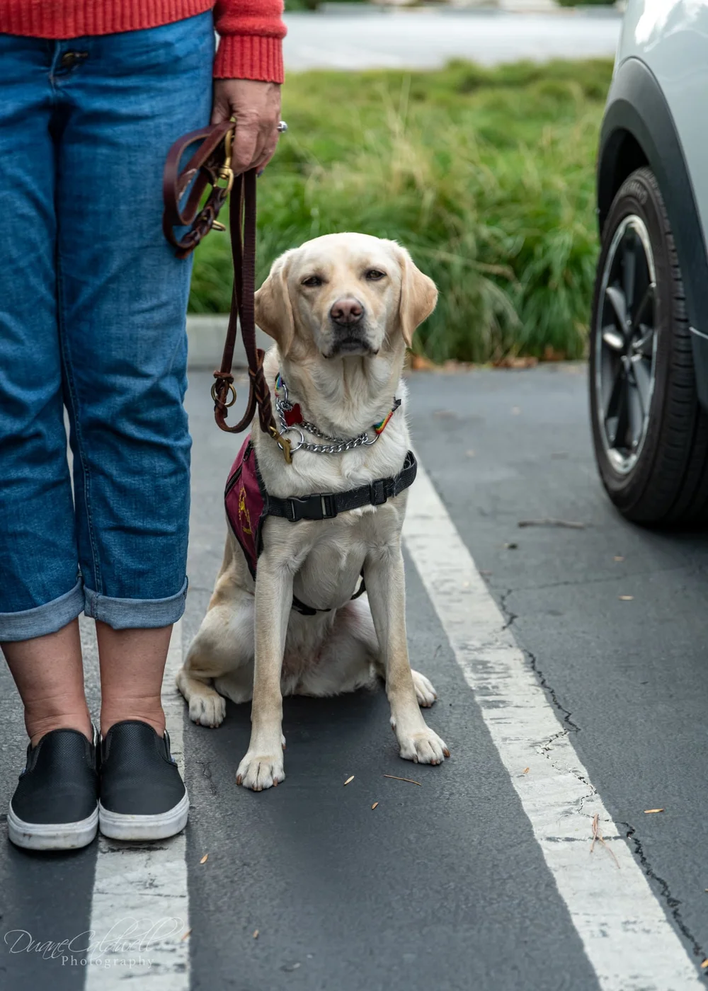 puppy 2 2021-10.jpeg