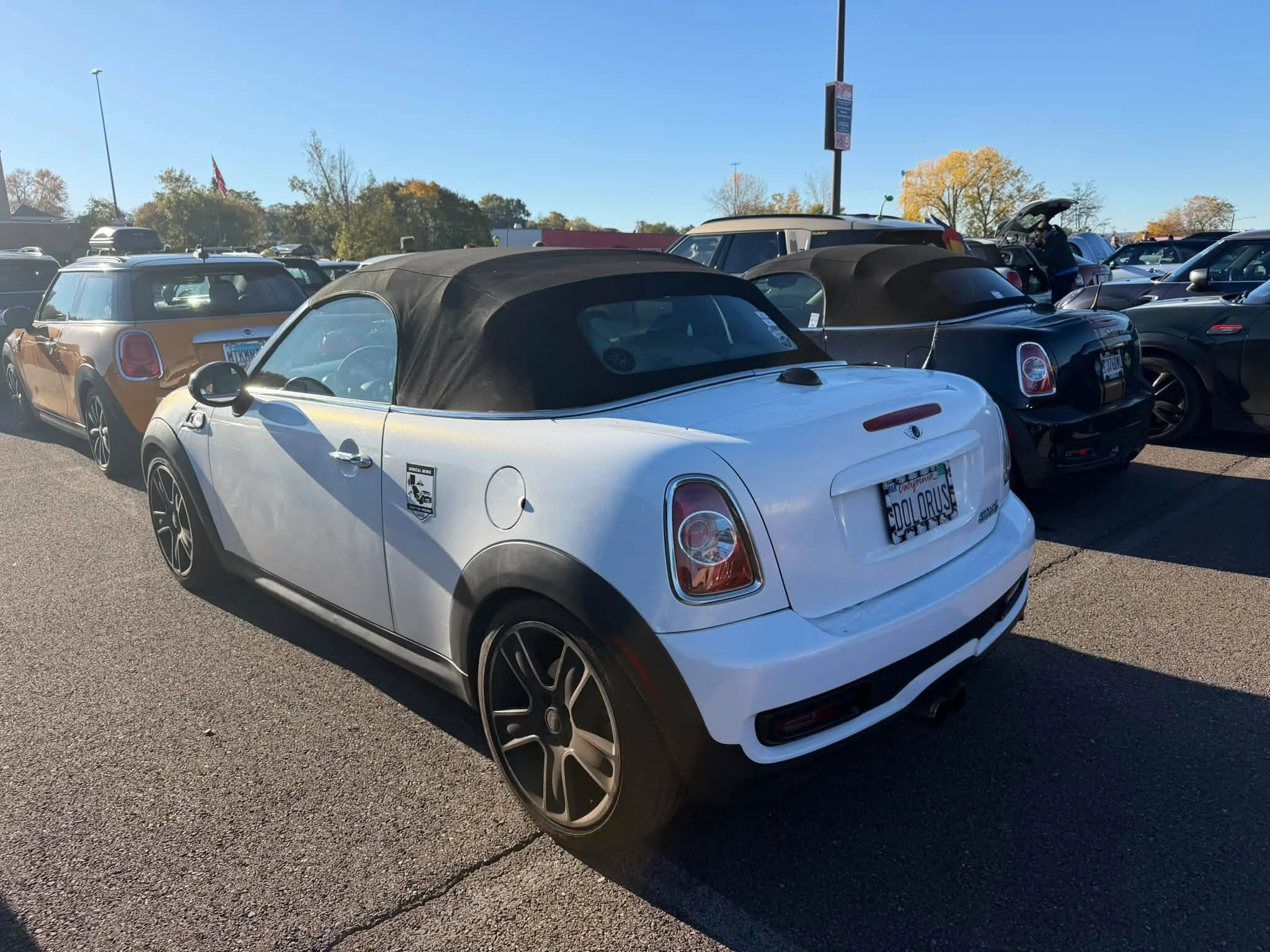26-10 - mtts-ny - dolorus-mini.jpg