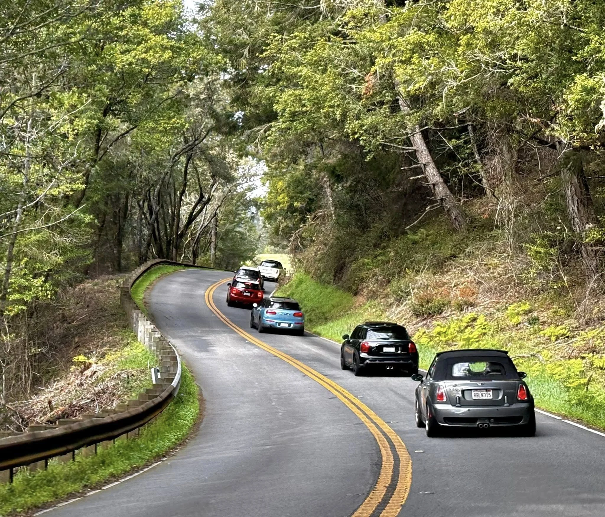26-02 - stinson-beach - minis-on-the-road.jpg