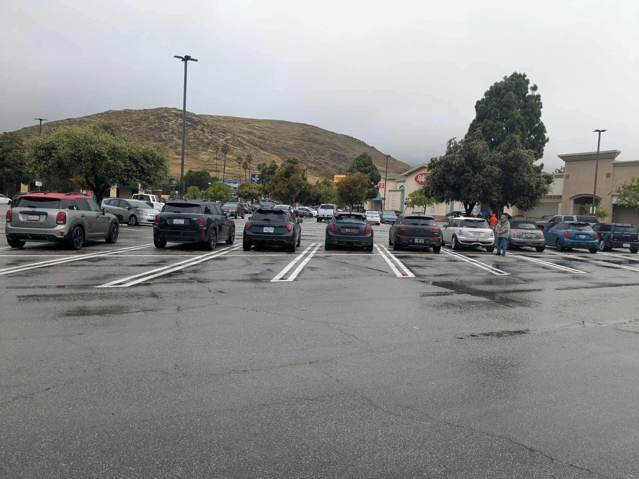 26-04 - santa-barbera - minis-at-slo-meetup-1.JPEG