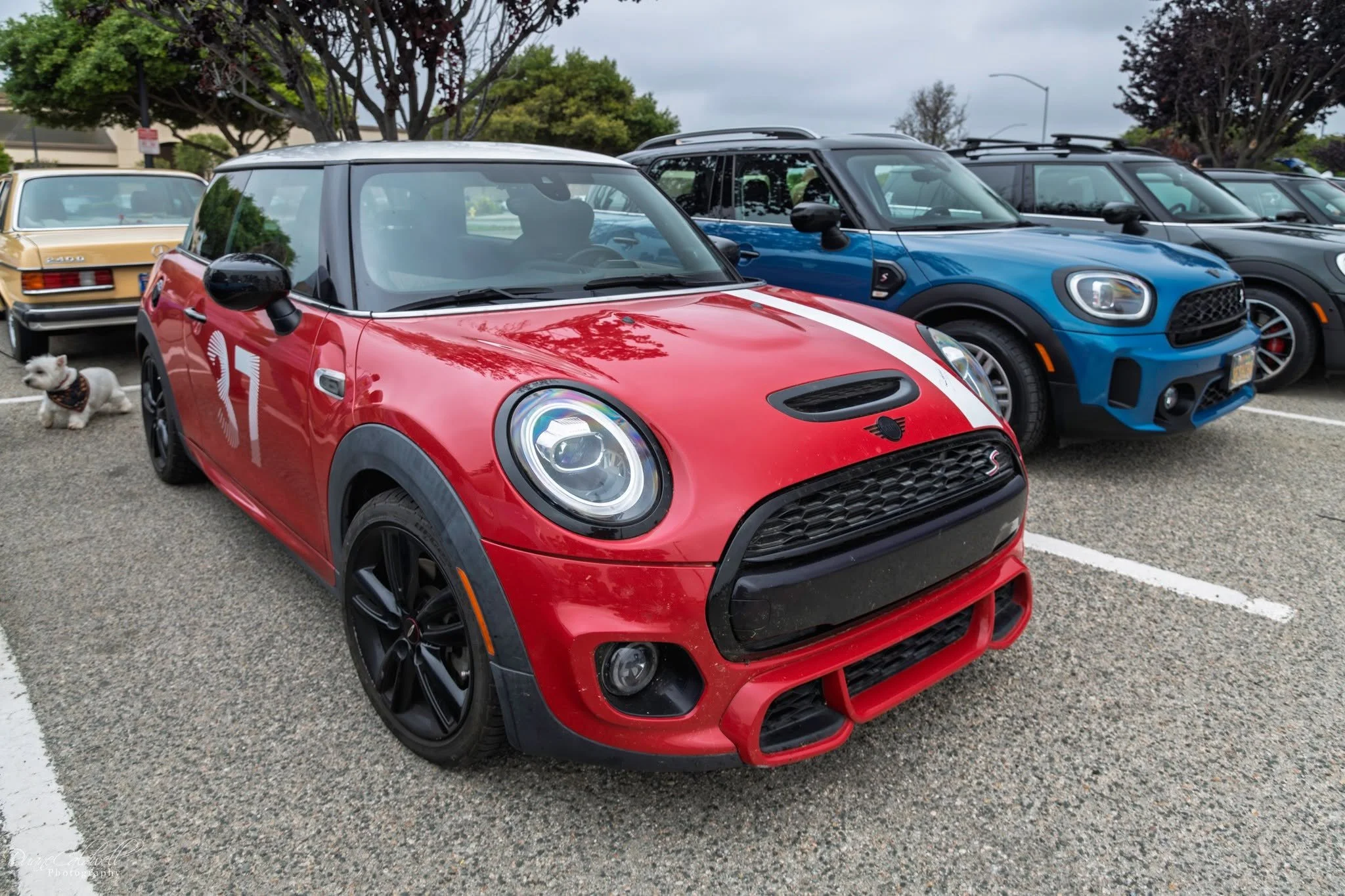 26-06 - monterey - red-f56.jpg