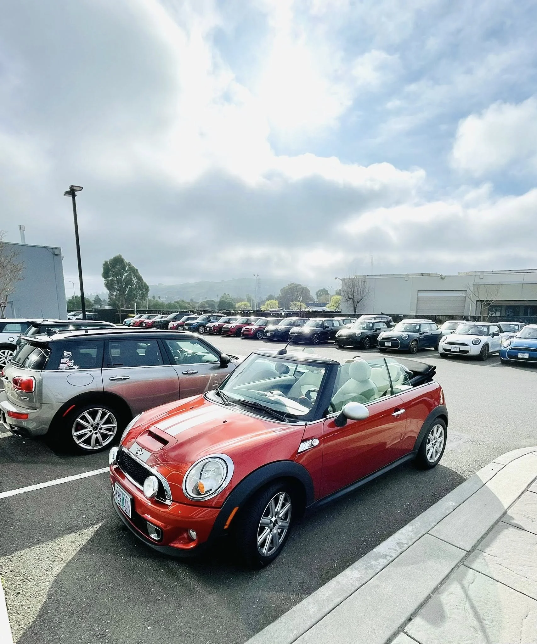 26-02 - stinson-beach - minis-at-mini-of-marin-5.jpg