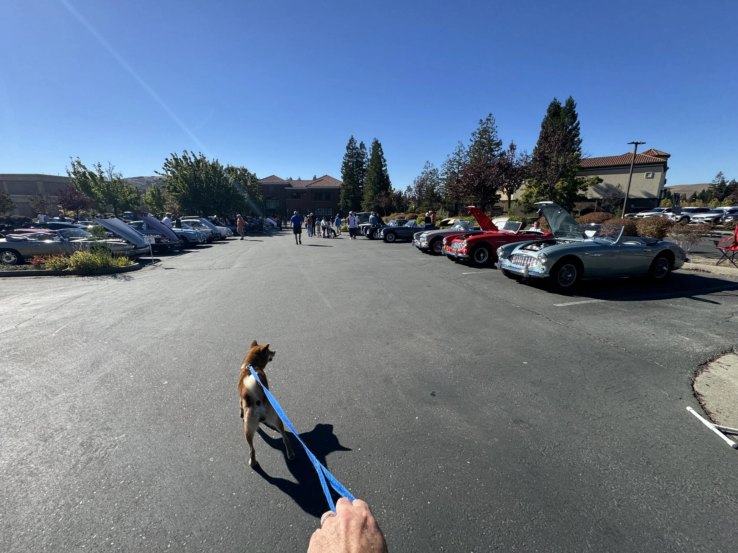 IMG_6633.jpeg