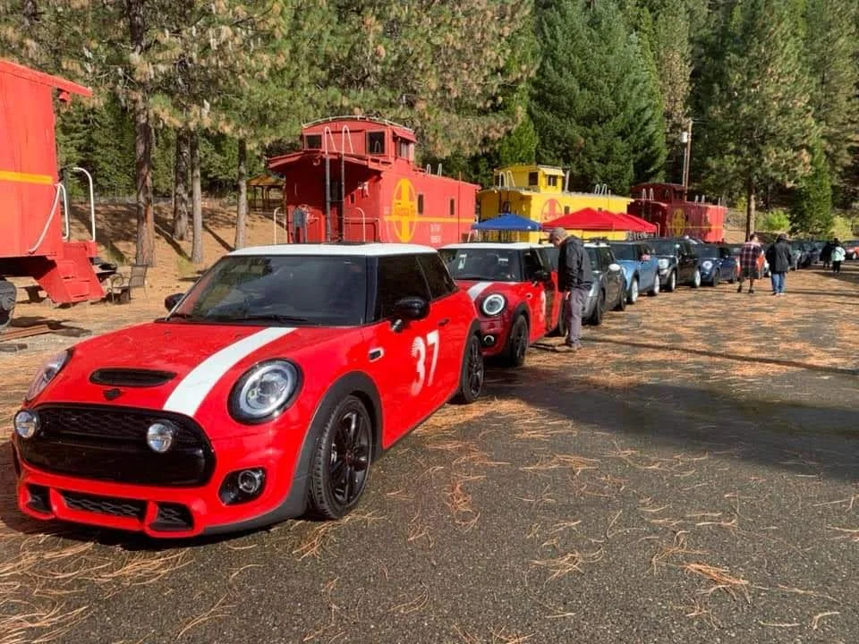 minis-lined-up.jpg