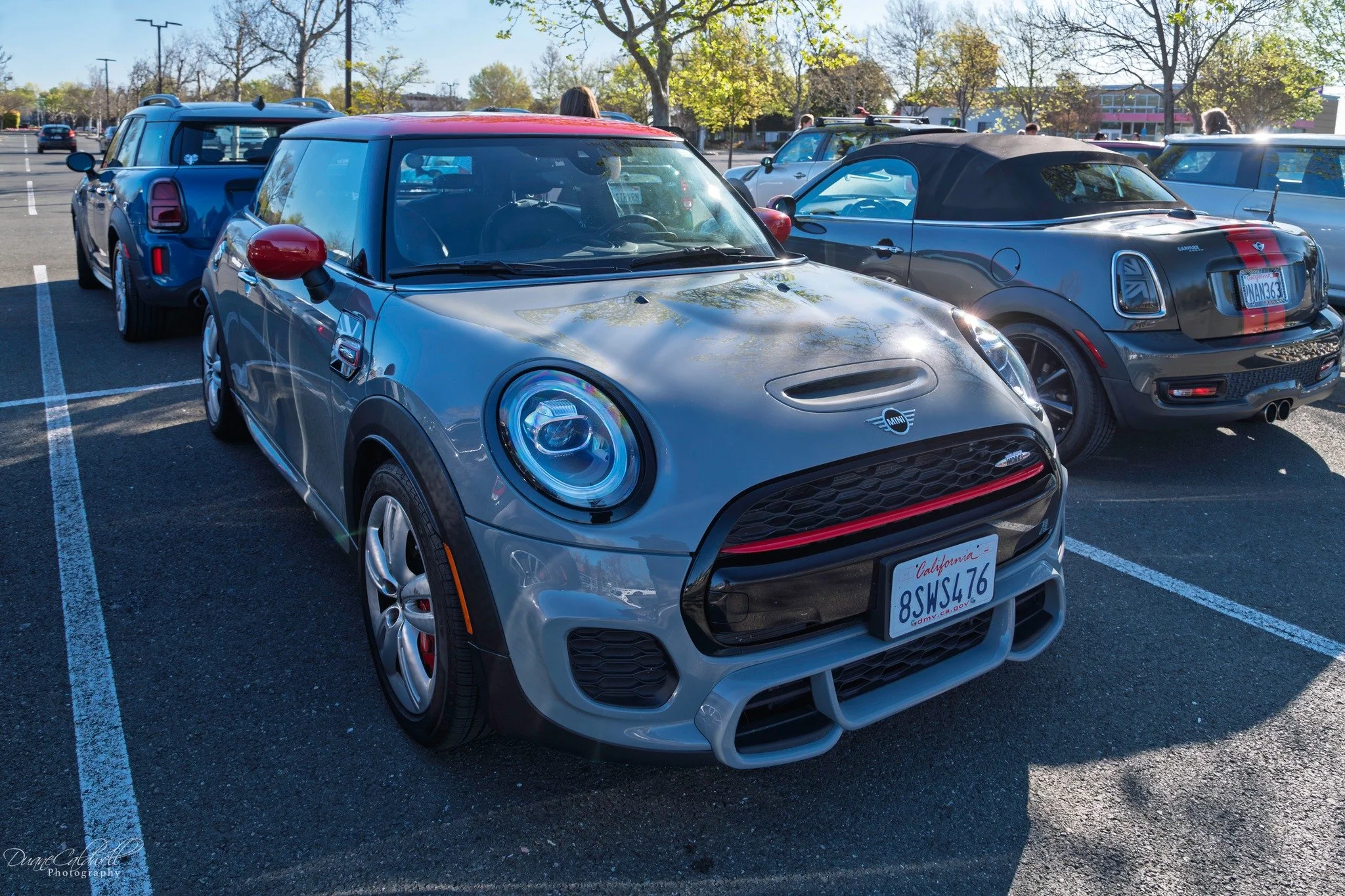 26-03 - jelly-belly - gray-red-f56.jpg