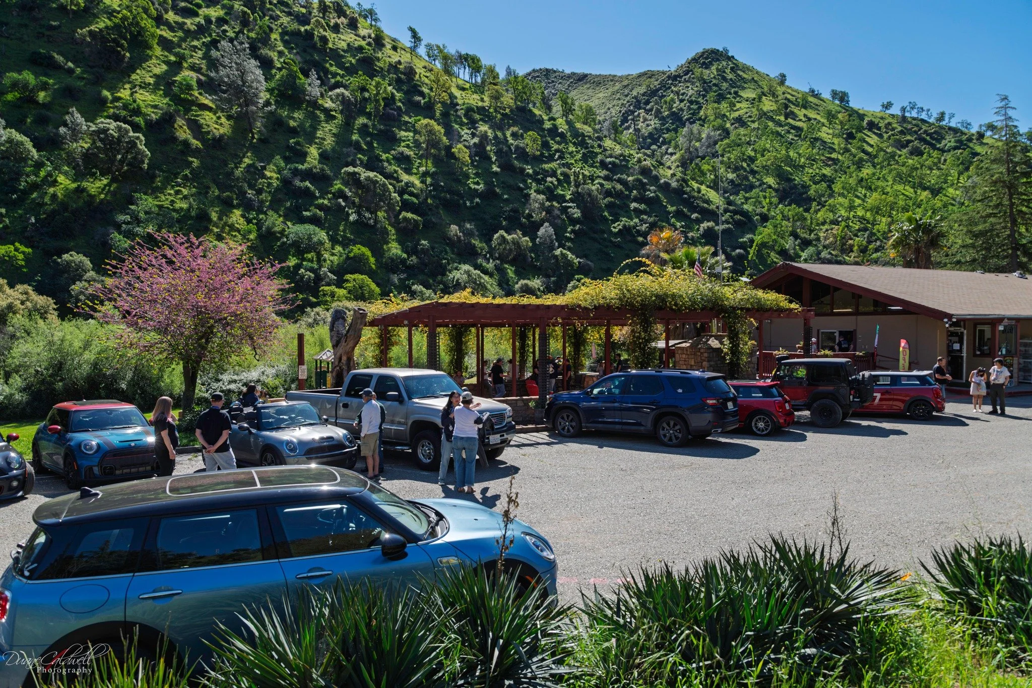 26-03 - jelly-belly - rest-stop-canyon-creek-market-and-grill-3.jpg