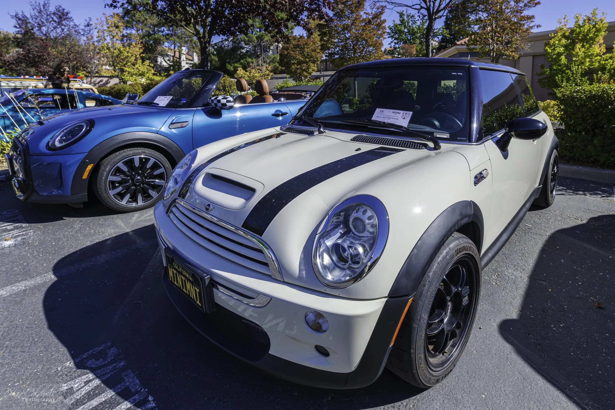 All British Motor Show Run MINIs_wm sm 2026-10-18-41.jpg