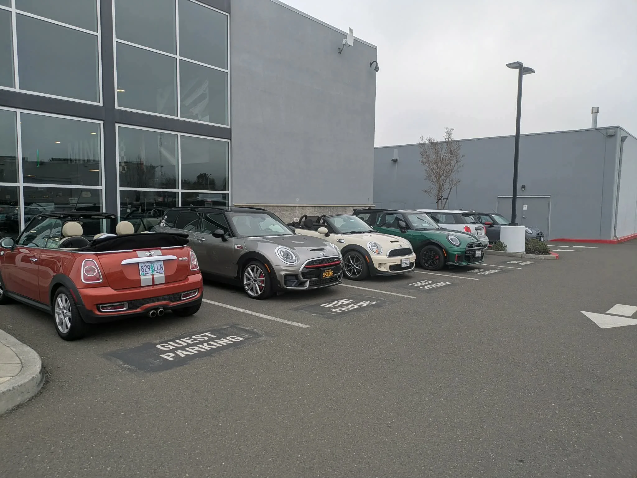 26-02 - stinson-beach - minis-at-mini-of-marin-2.jpg