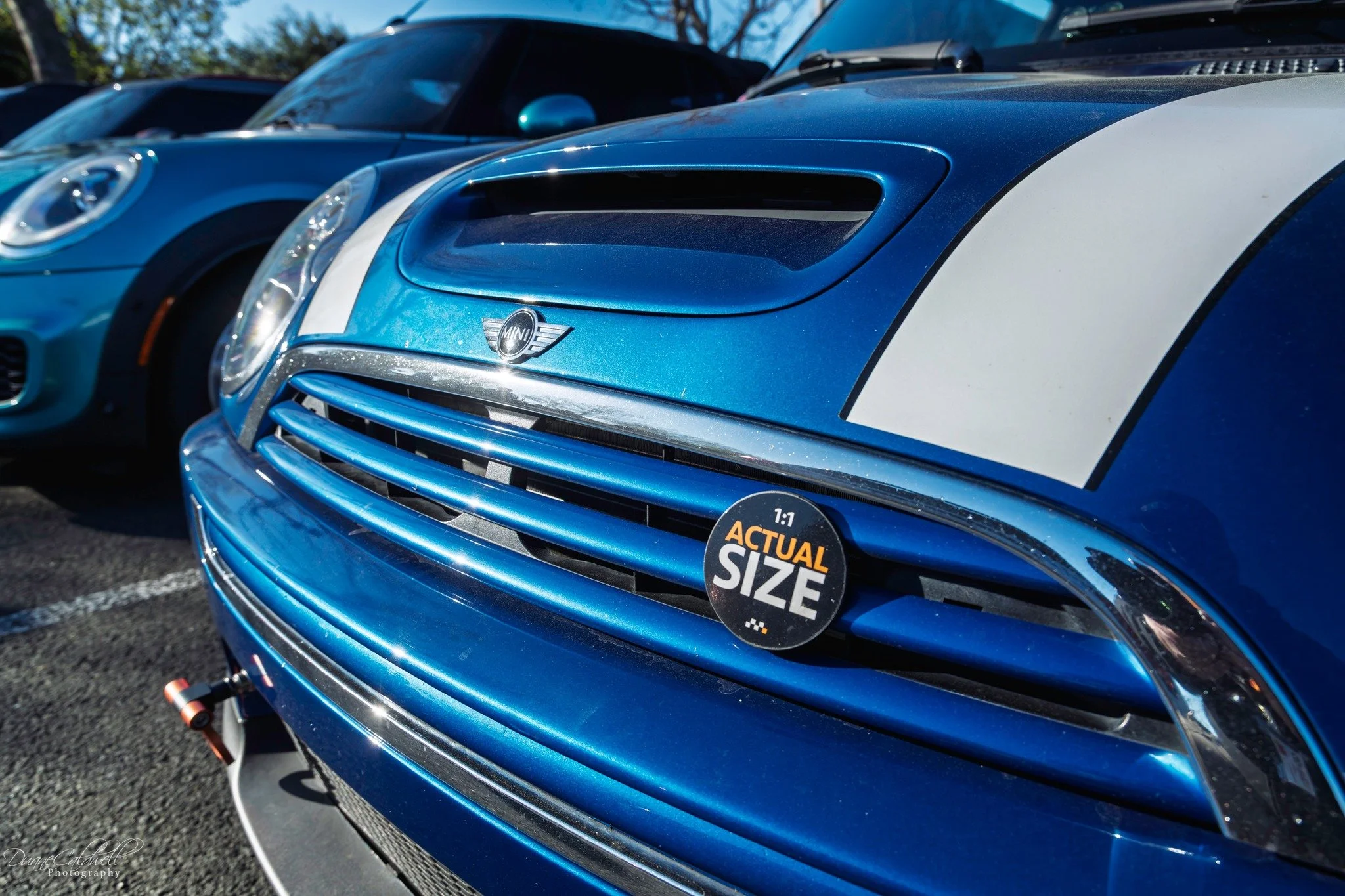 26-03 - jelly-belly - blue-white-r53-grill.jpg