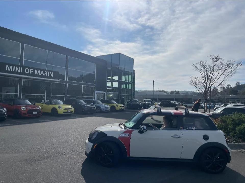 26-02 - stinson-beach - minis-at-mini-of-marin-8.jpg