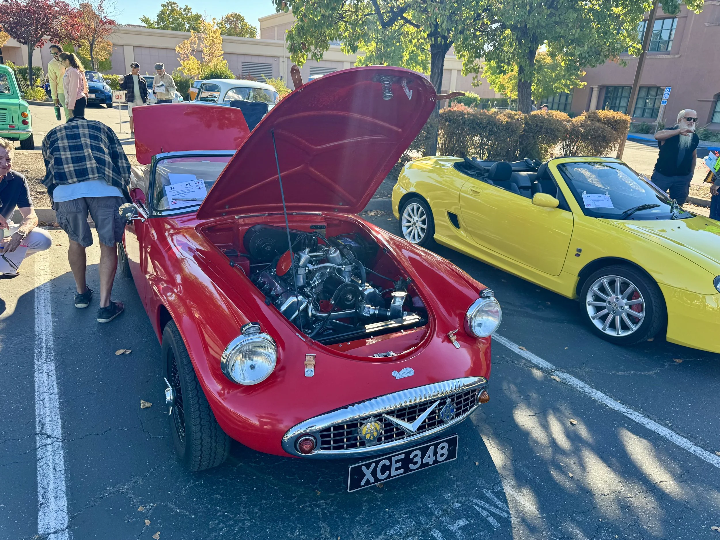 IMG_6505.jpeg
