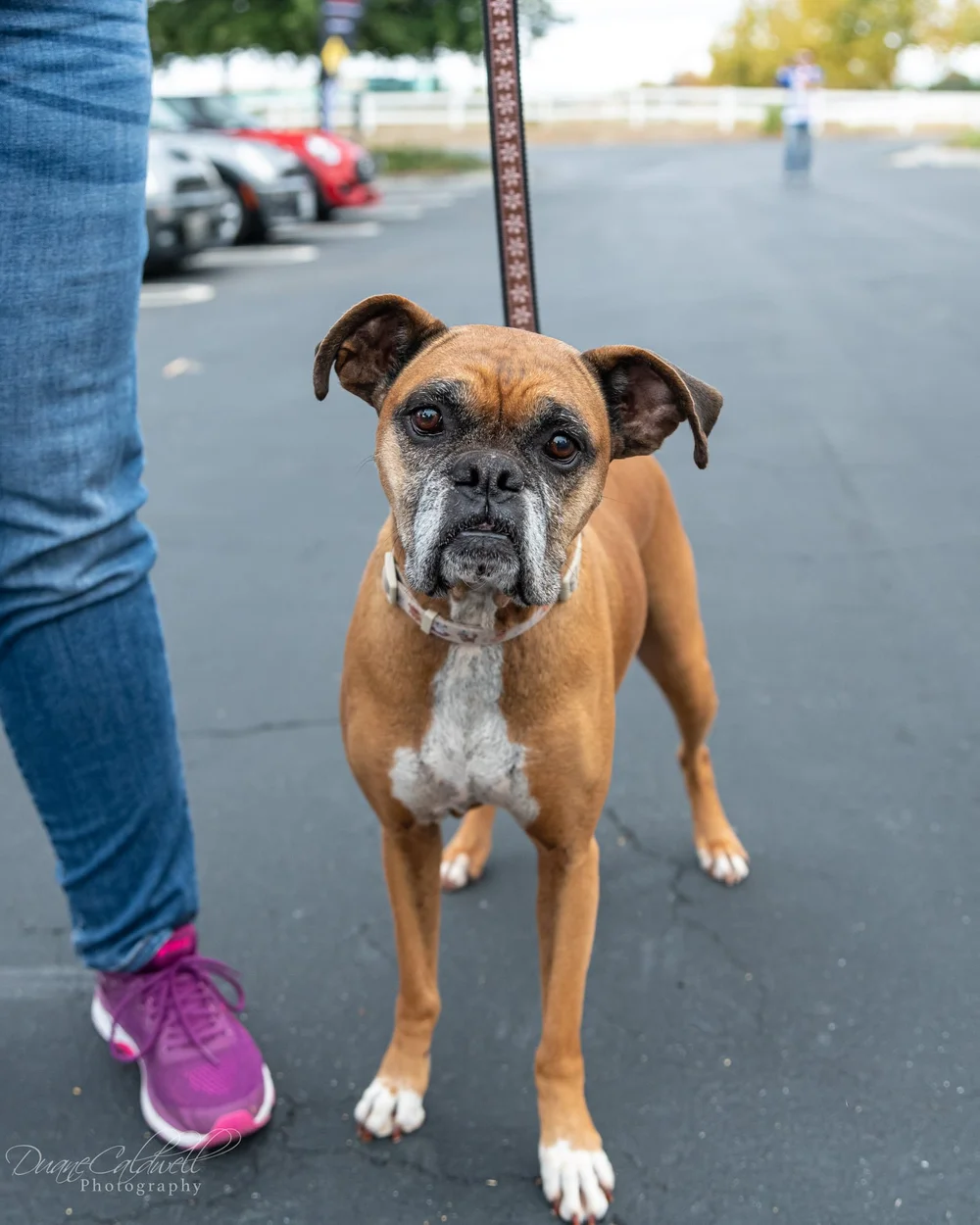 puppy 4 2021-10.jpeg