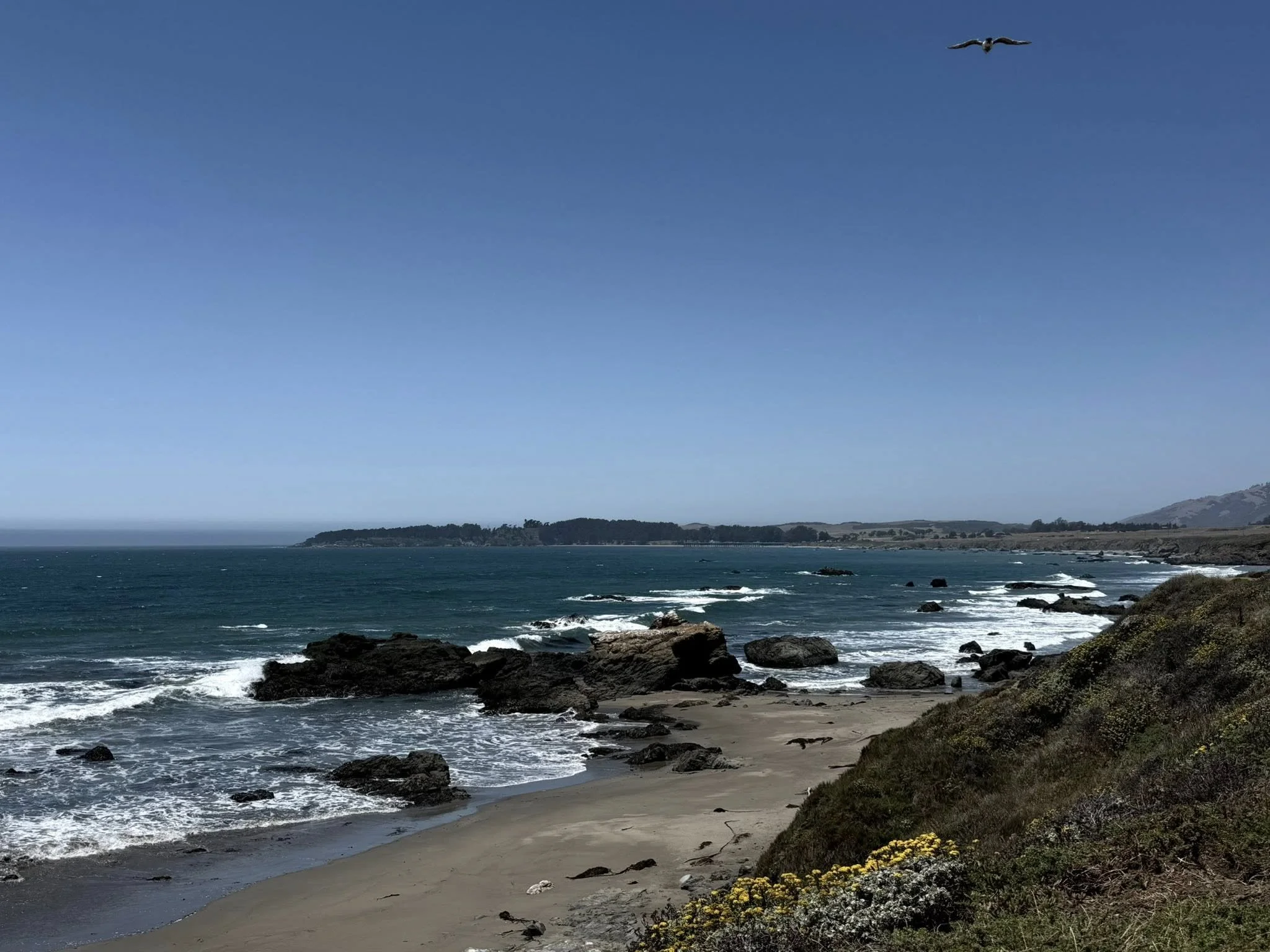 Cambria / San Simeon Weekend