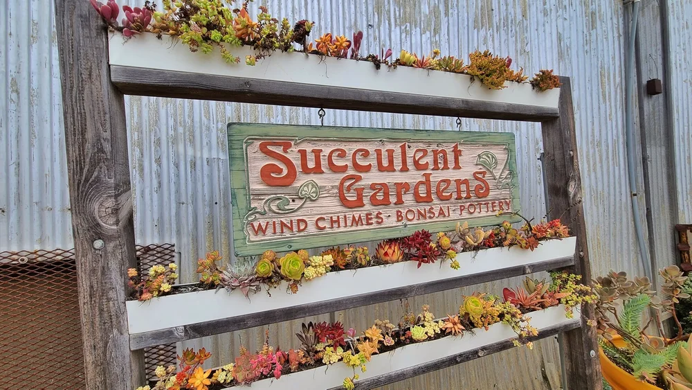 Succulent Gardens 2.jpeg
