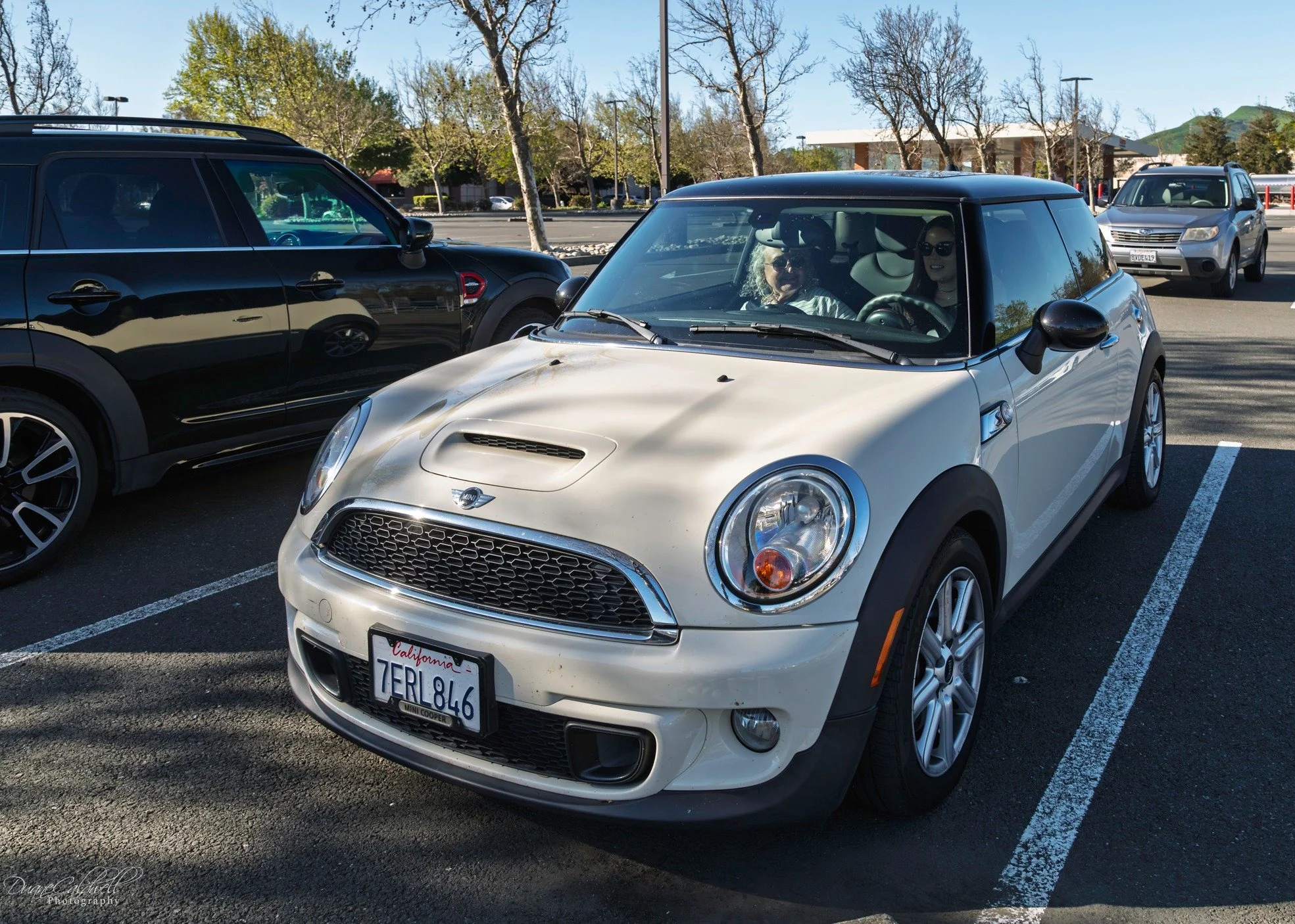 26-03 - jelly-belly - cream-black-r53.jpg