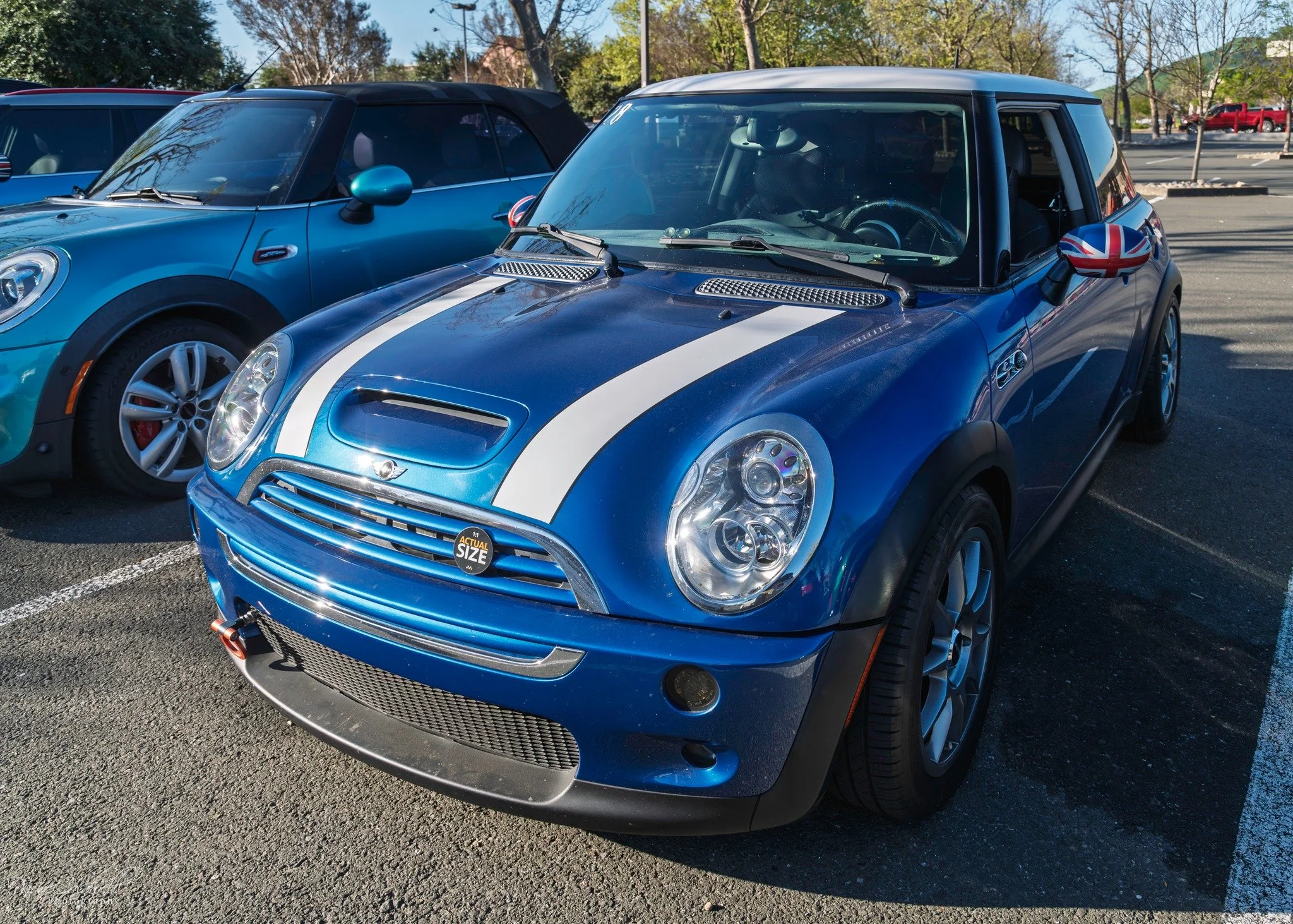 26-03 - jelly-belly - blue-white-r53.jpg