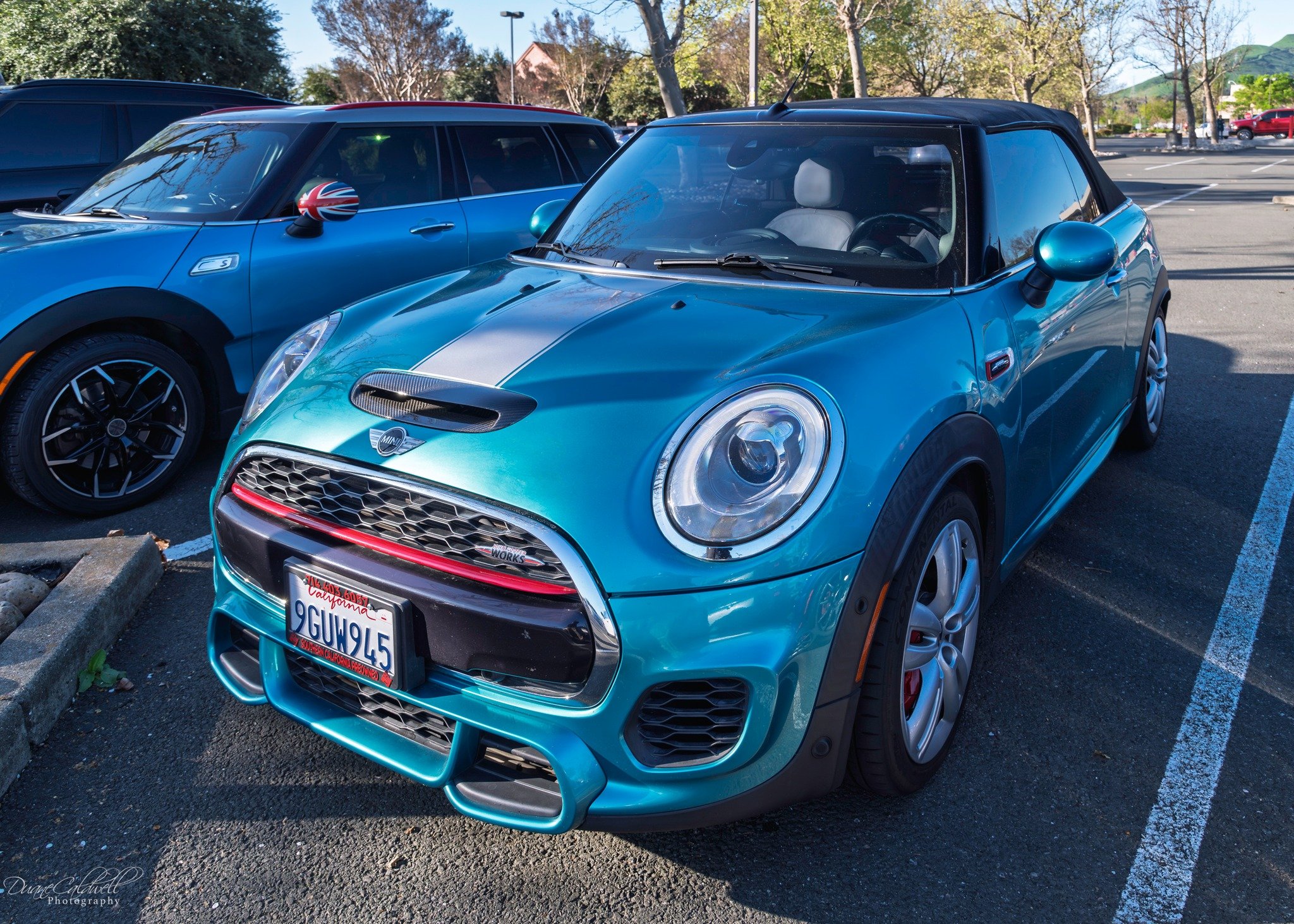 26-03 - jelly-belly - light-blue-f57.jpg