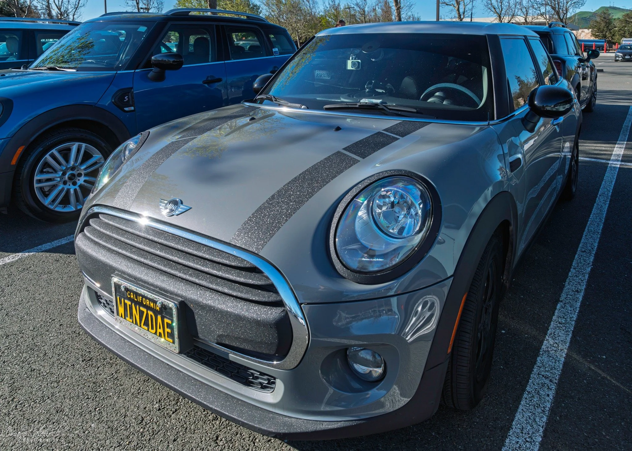 26-03 - jelly-belly - winzdae.jpg