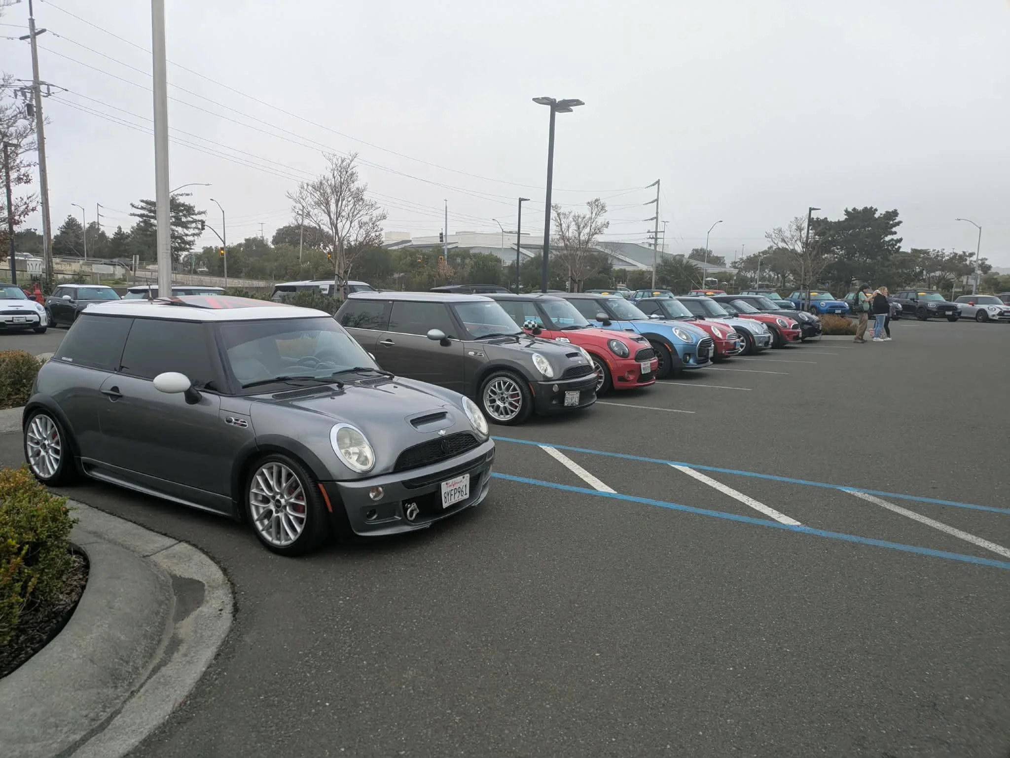 26-02 - stinson-beach - minis-at-mini-of-marin-1.jpg