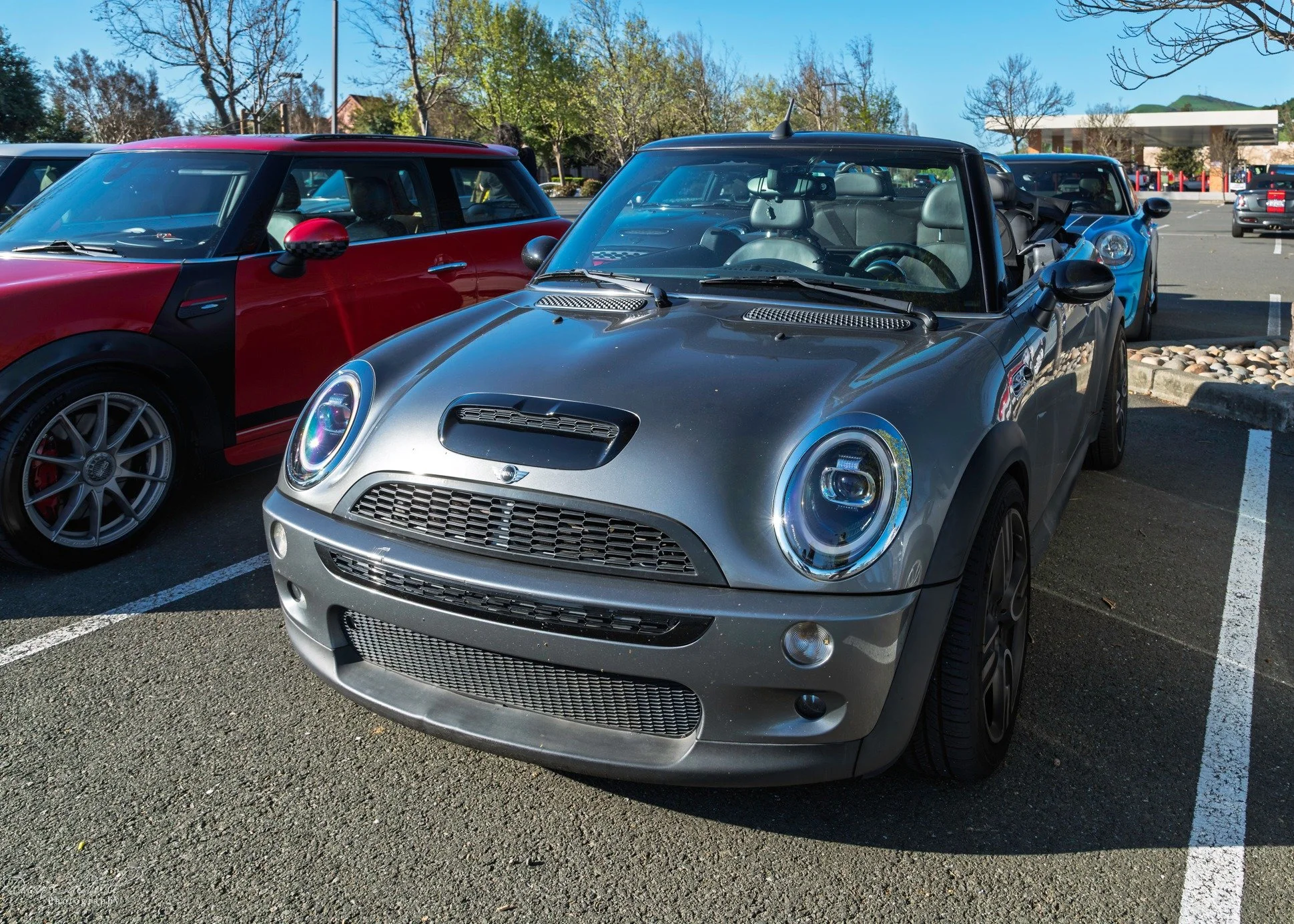 26-03 - jelly-belly - gray-r52.jpg