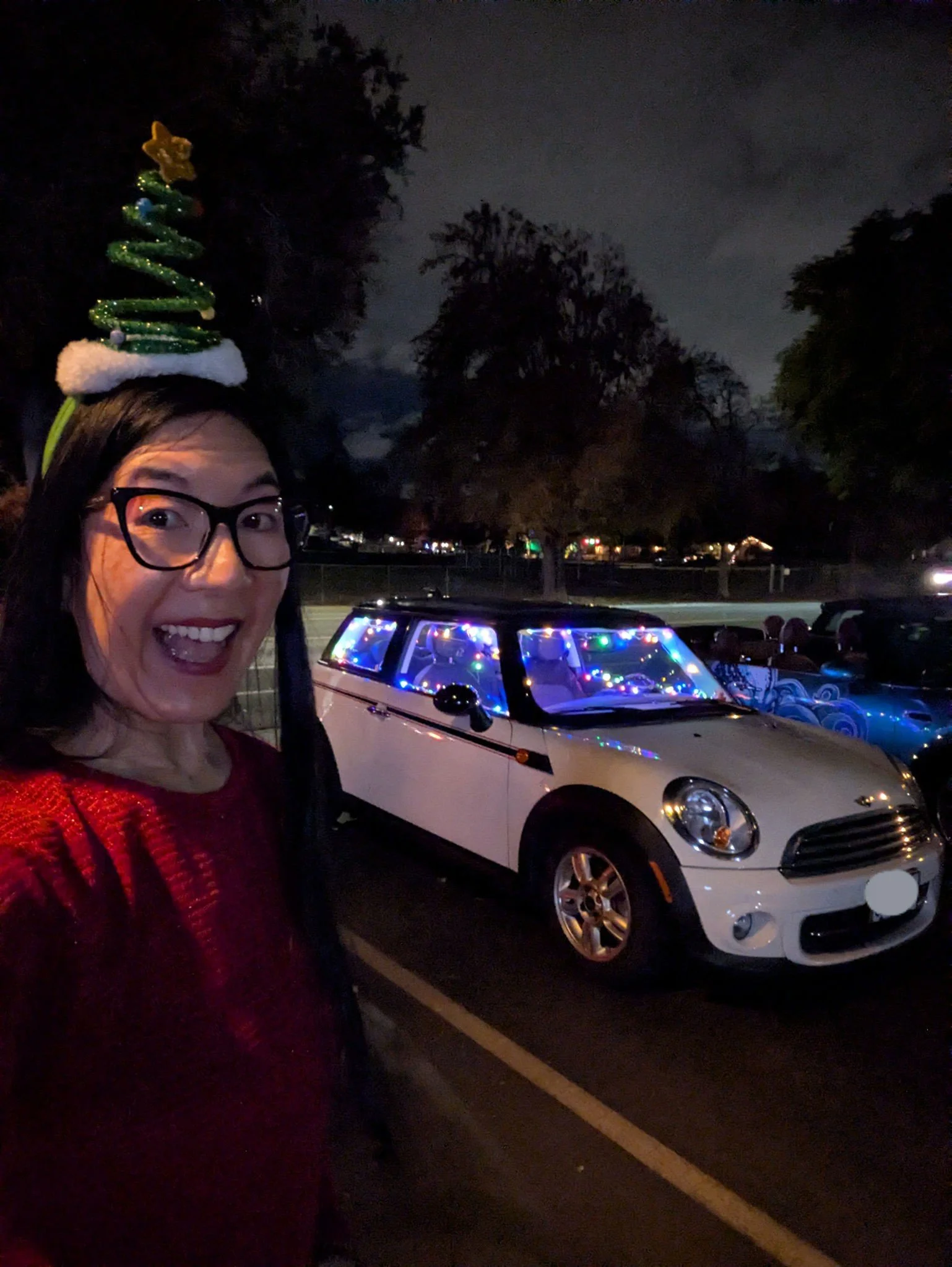25-12 - xmas-lights - trish-and-miss-mini.jpg