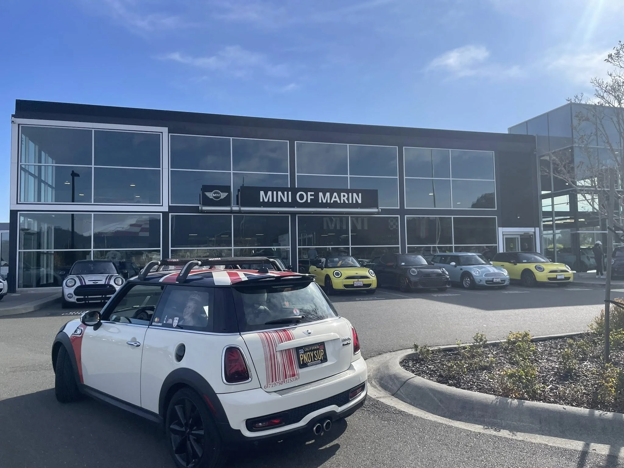 26-02 - stinson-beach - minis-at-mini-of-marin-9.jpg