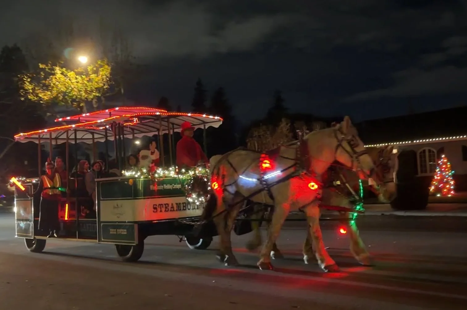 25-12 - xmas-lights - horse-drawn-carriage.jpg