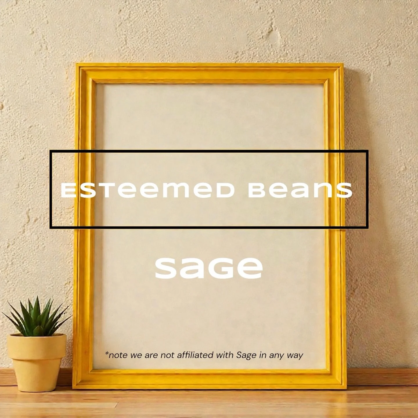 So&hellip; long time no speak!

We&rsquo;ve been very busy lately getting your lovely home coffee machines back in fighting shape ☕
So busy, in fact, that we&rsquo;re officially (self-proclaimed&hellip; but well earned) Sage home machine specialists 