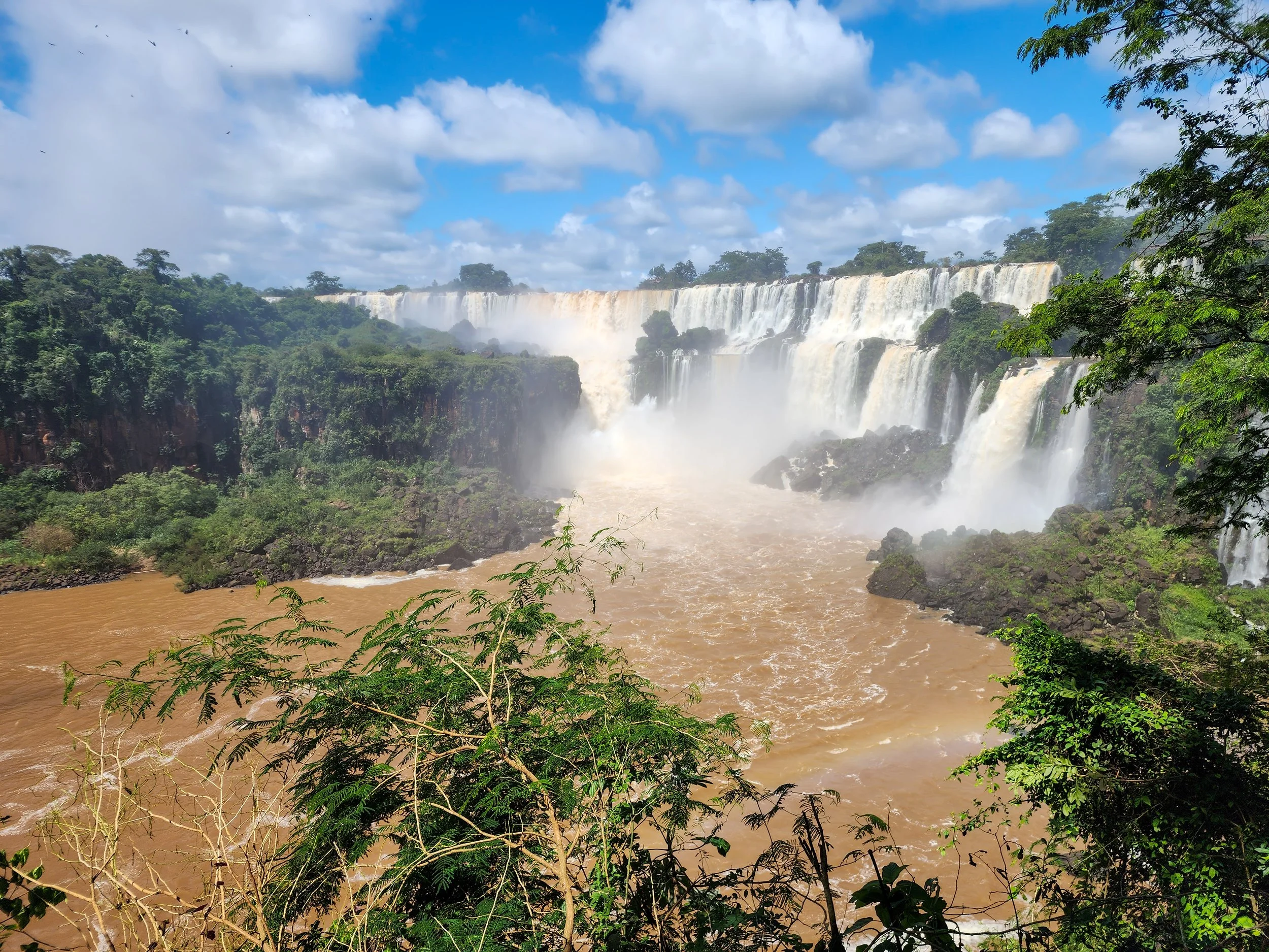 The White Lotus and God in Iguazu