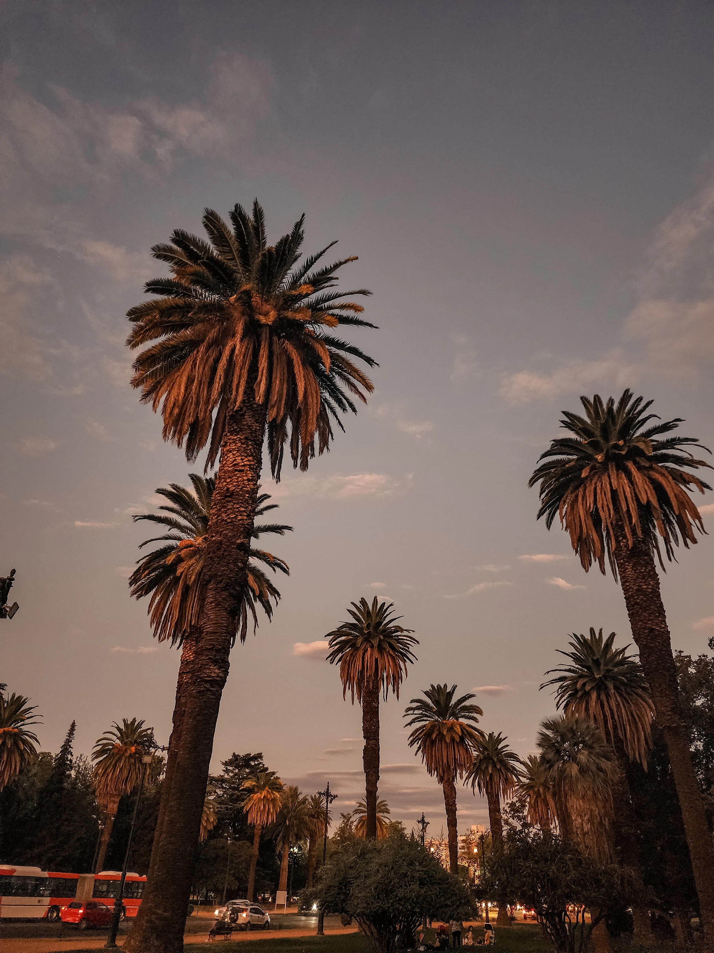 Priorities in Mendoza