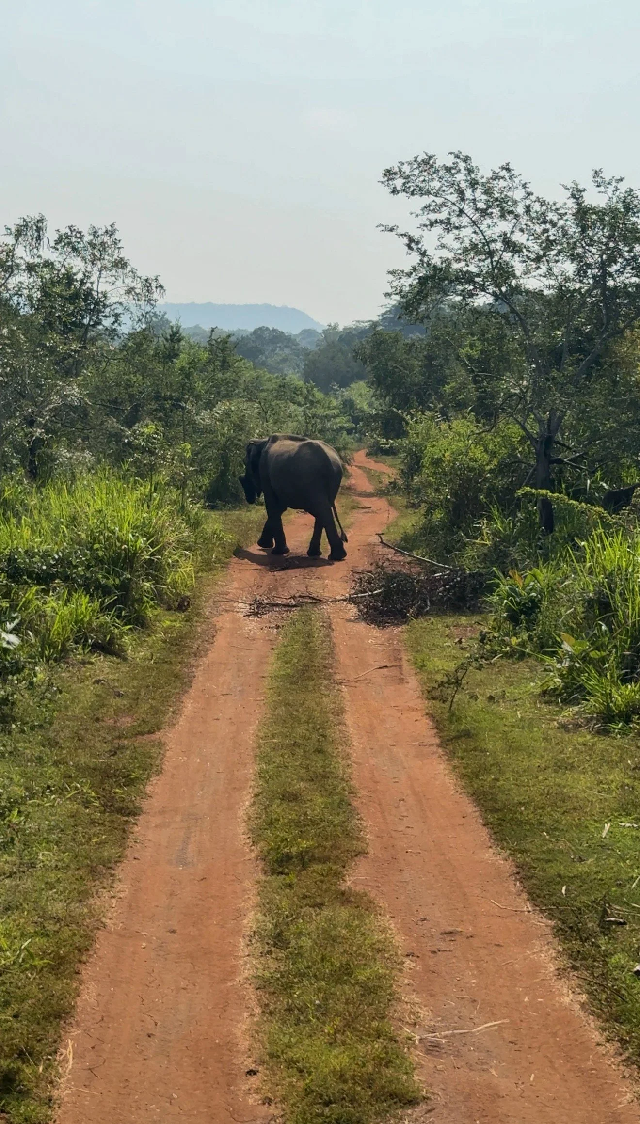A look back: Sri Lanka 2026