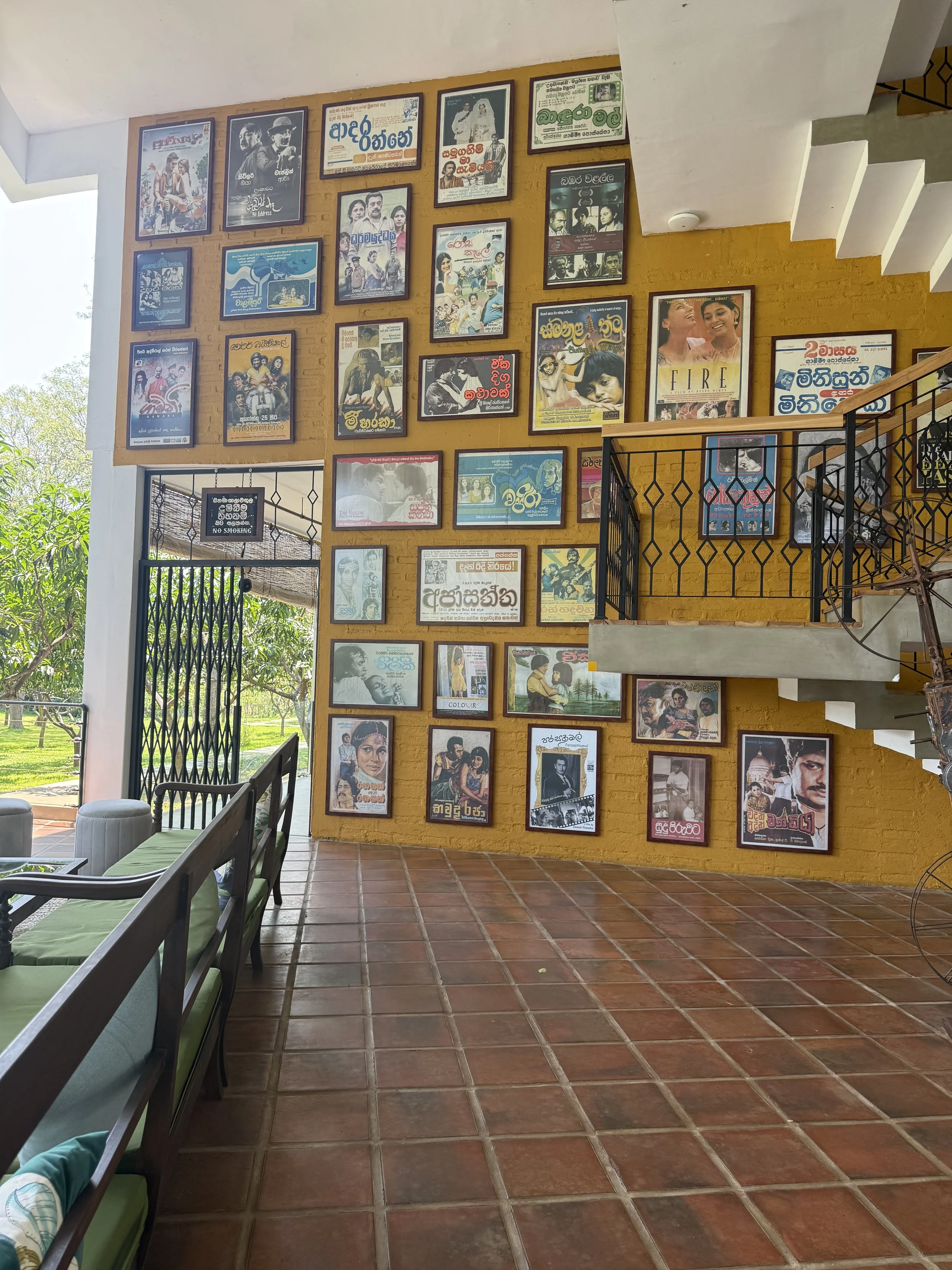 IMG_2523.jpeg