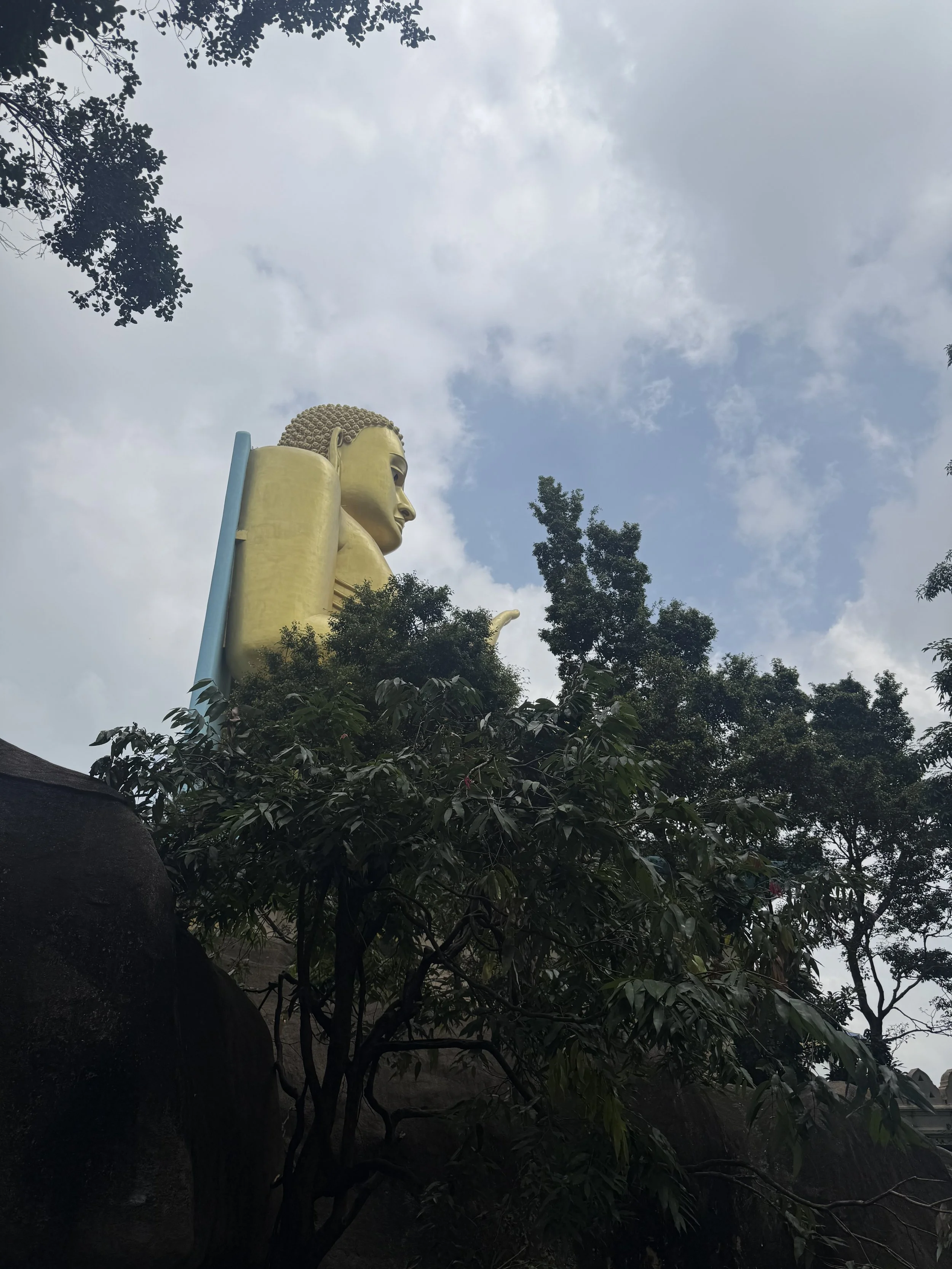 IMG_2778.jpeg