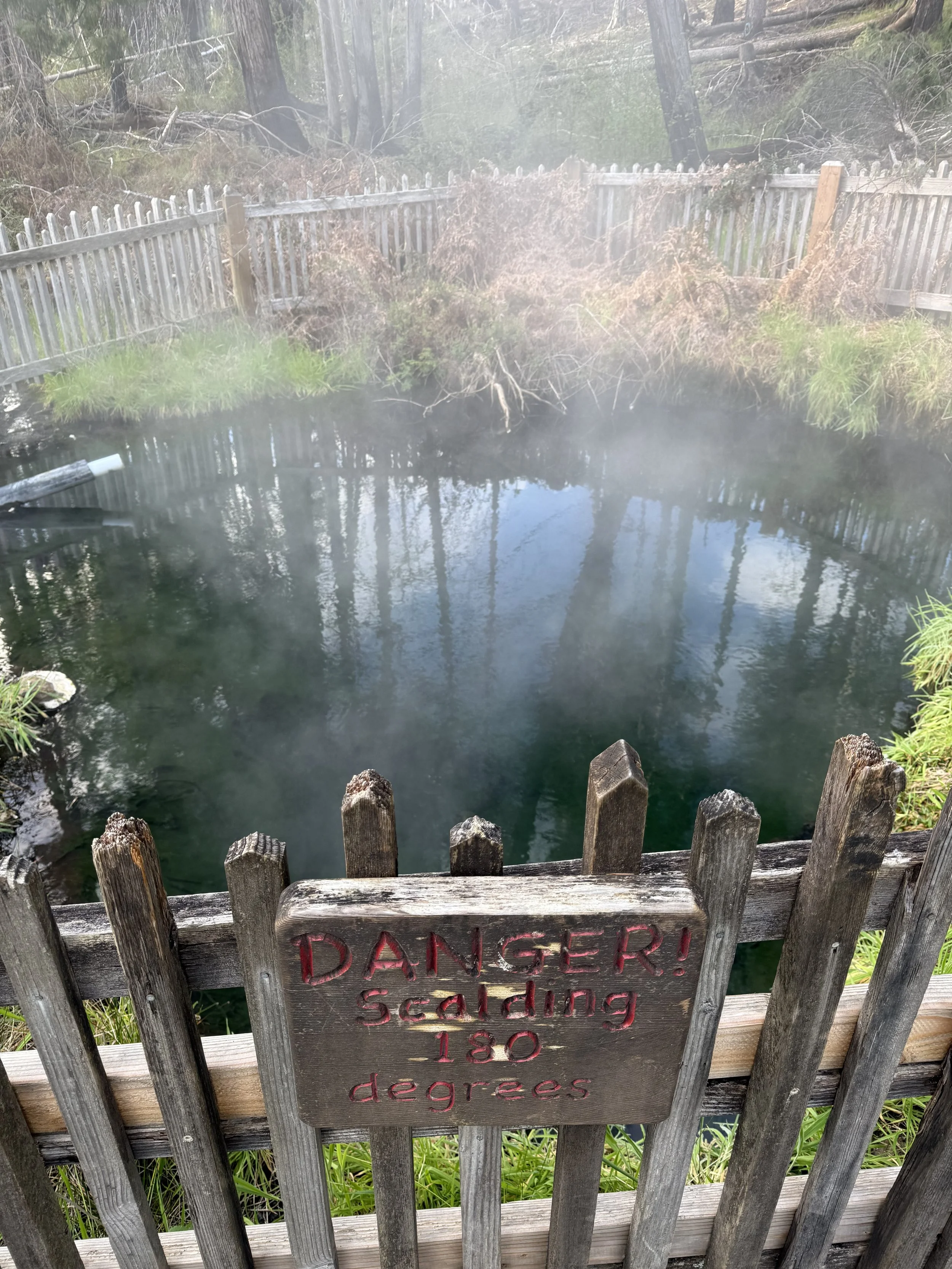 IMG_3836.jpeg