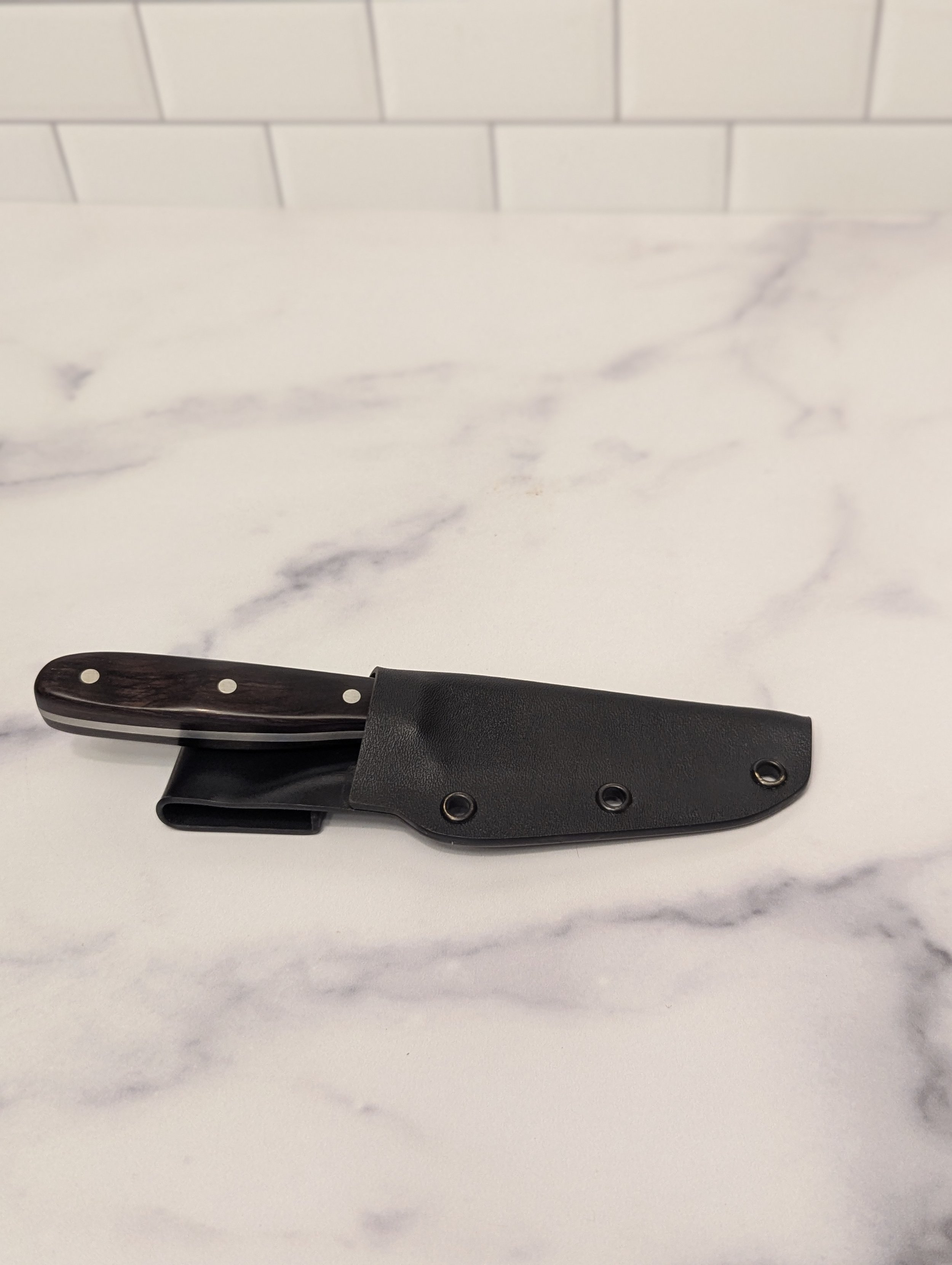 Custom molded Kydex sheath.