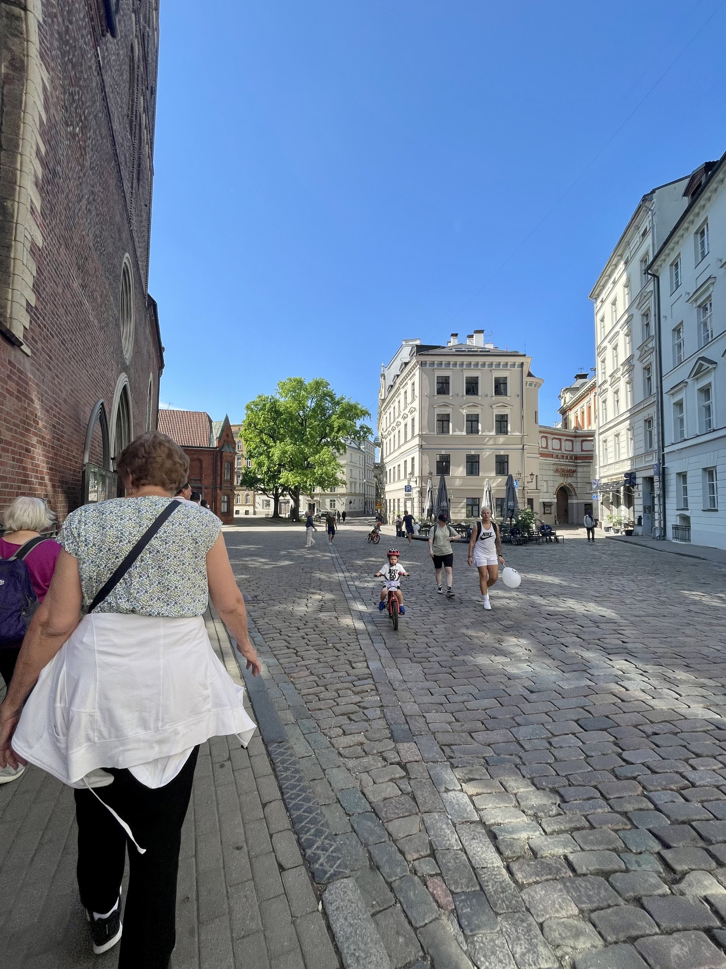 IMG_8244.jpeg