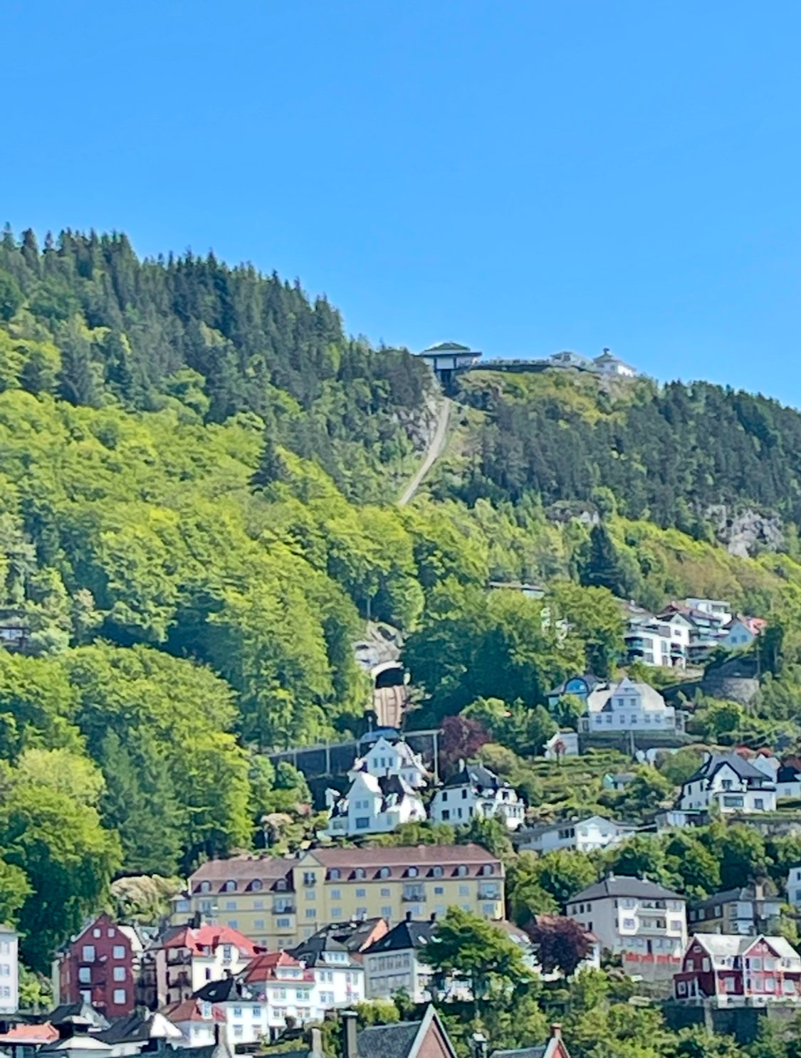 Hilly town with colorful houses and a tunnel entrance amidst lush green trees, under a clear blue sky.