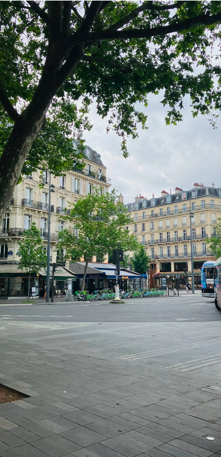City street scene with trees, a bike rental station, outdoor cafes, and multi-story European-style buildings under cloudy sky.