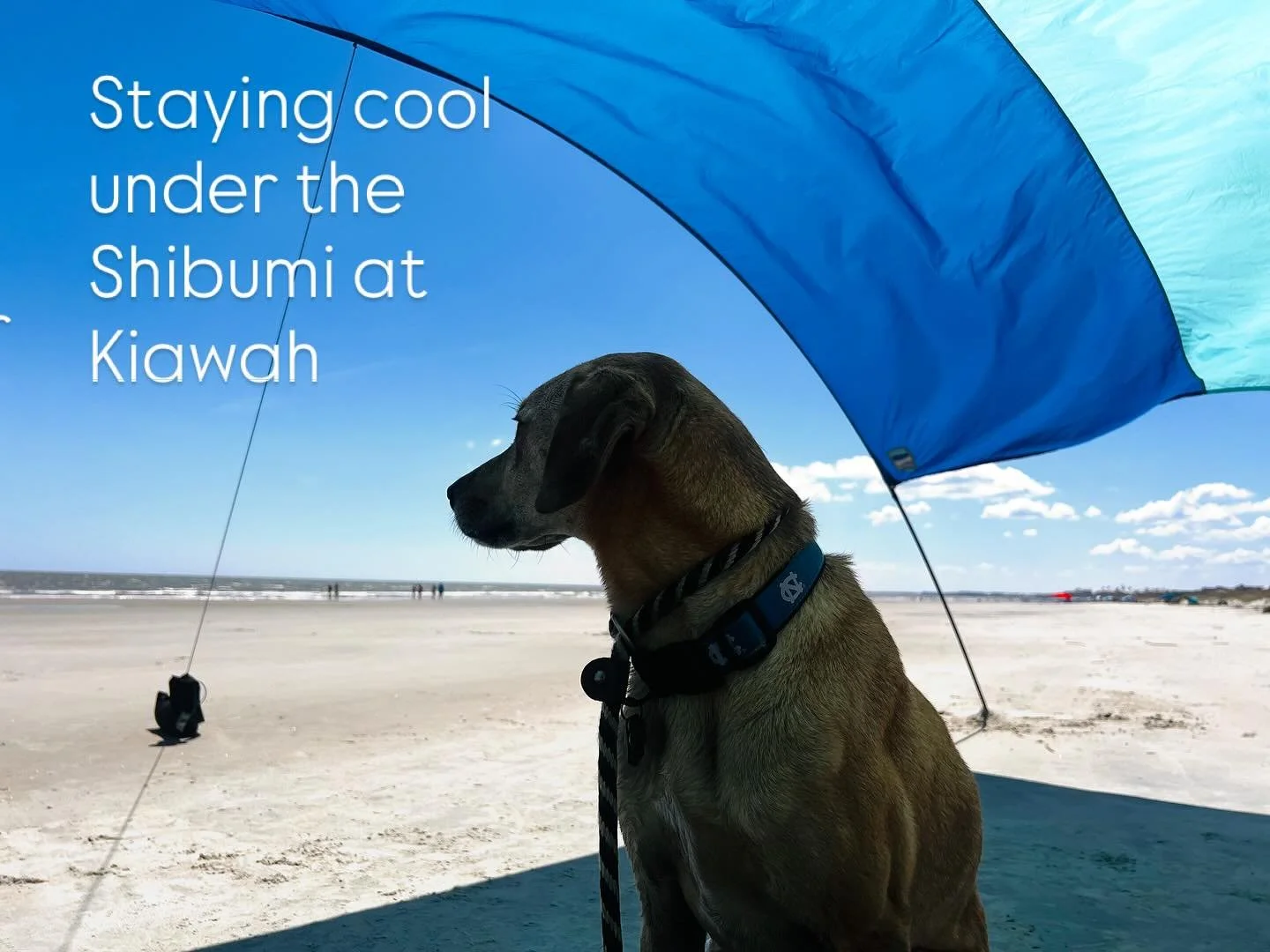 It&rsquo;s a hot 🥵 one today! Staying in the shade under @shibumishade at Kiawah Island!