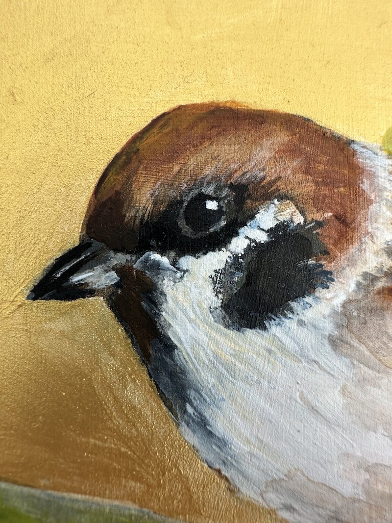 sparrow.jpg