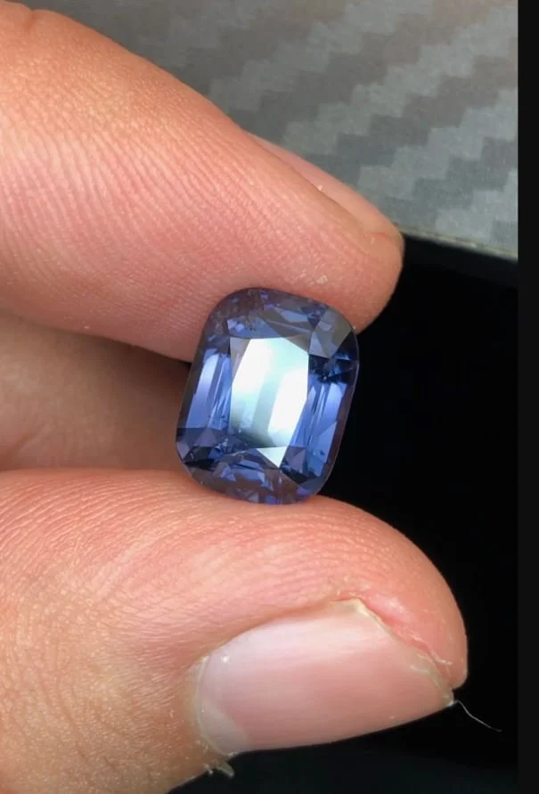 bluespinel1.JPG