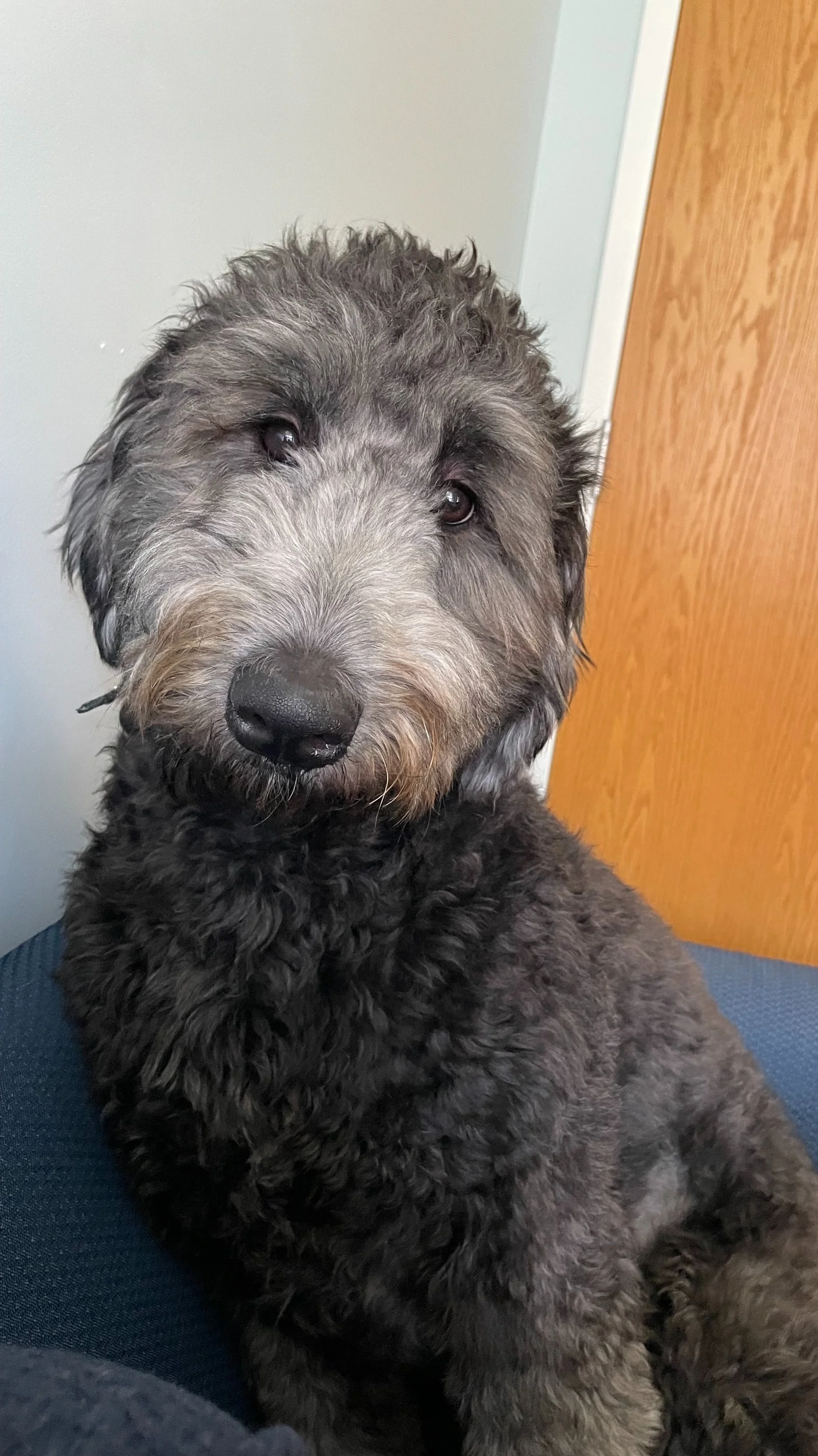 Image of Winnie Ginter