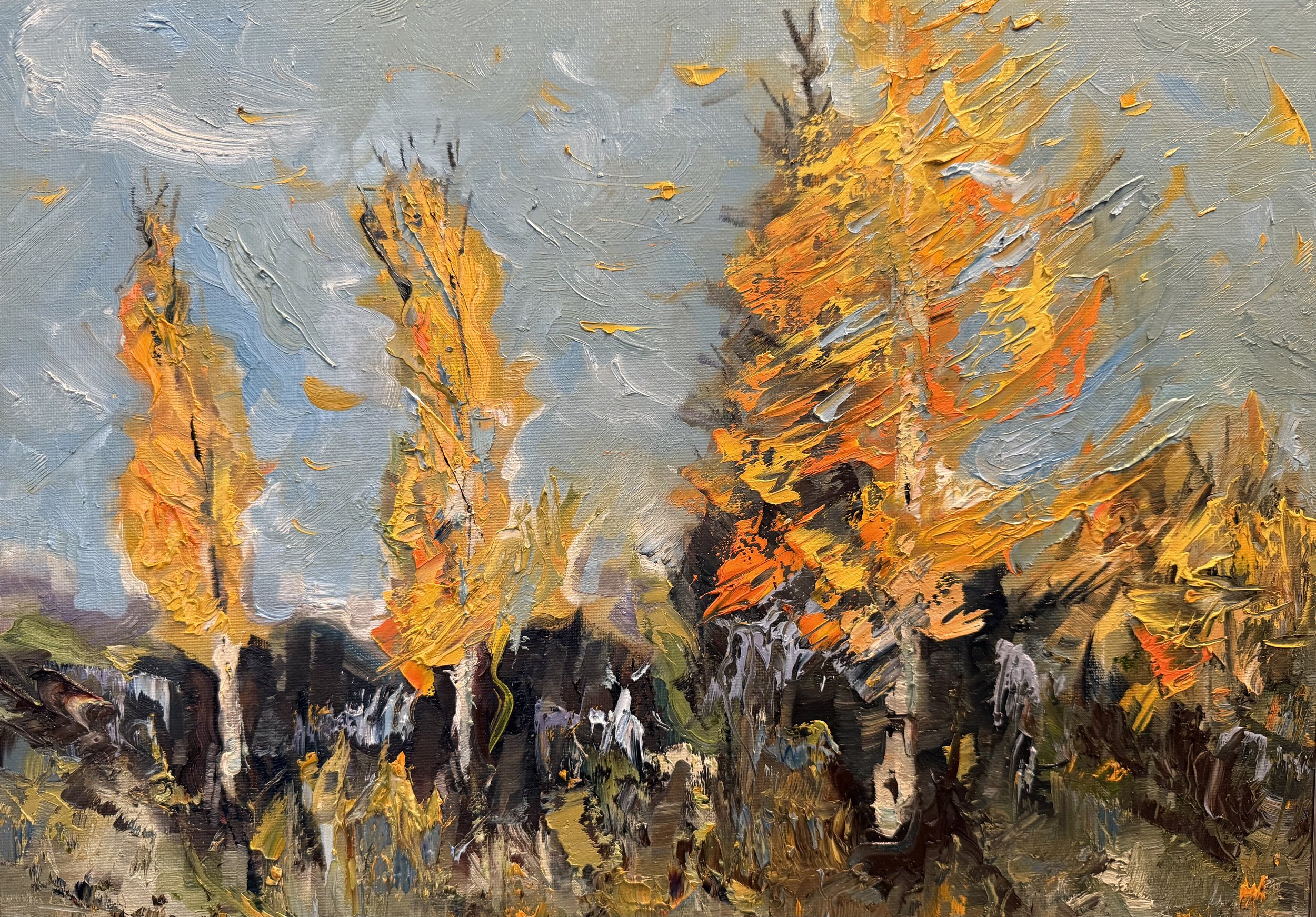 11"x14" "Windy"