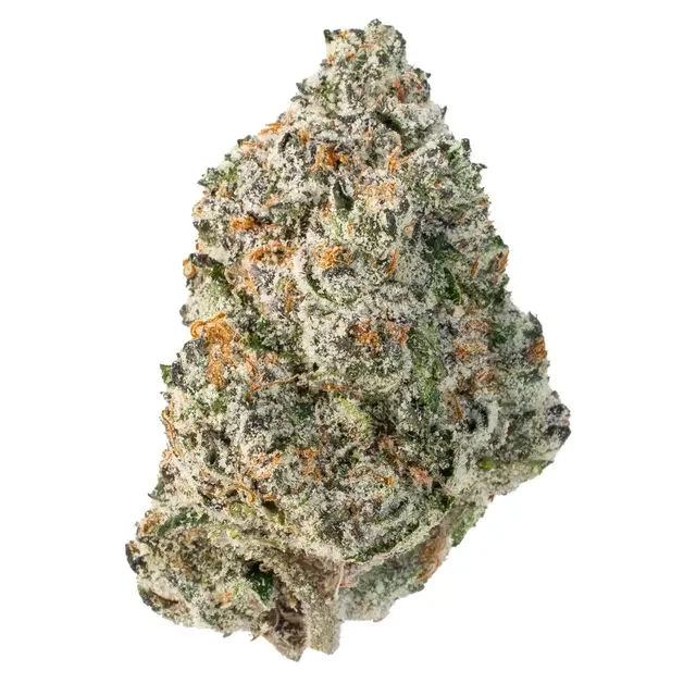 resized_RAP20-1.webp