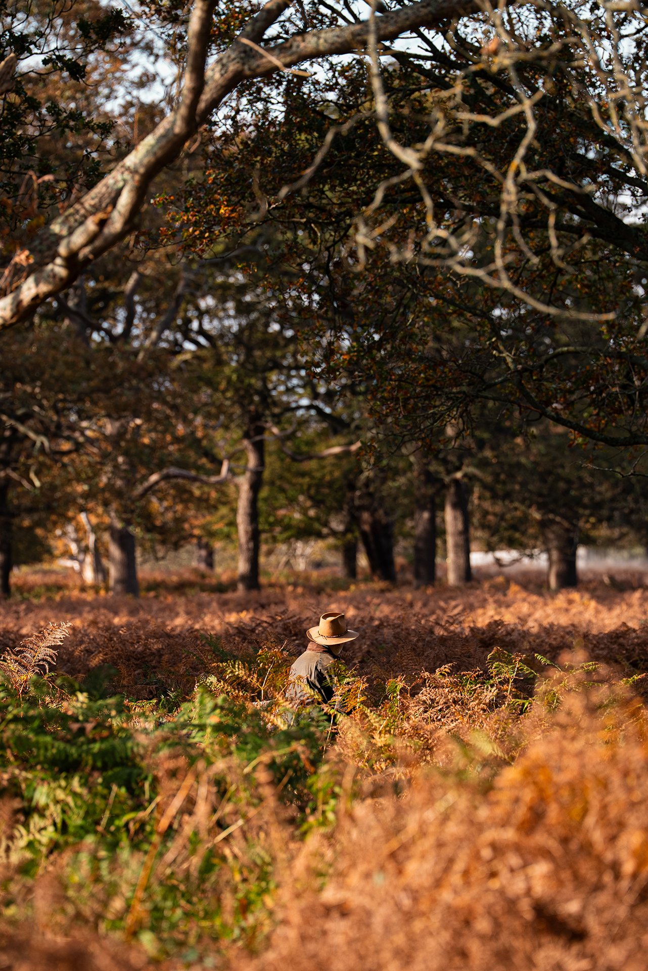 Richmond, London, UK. 2025