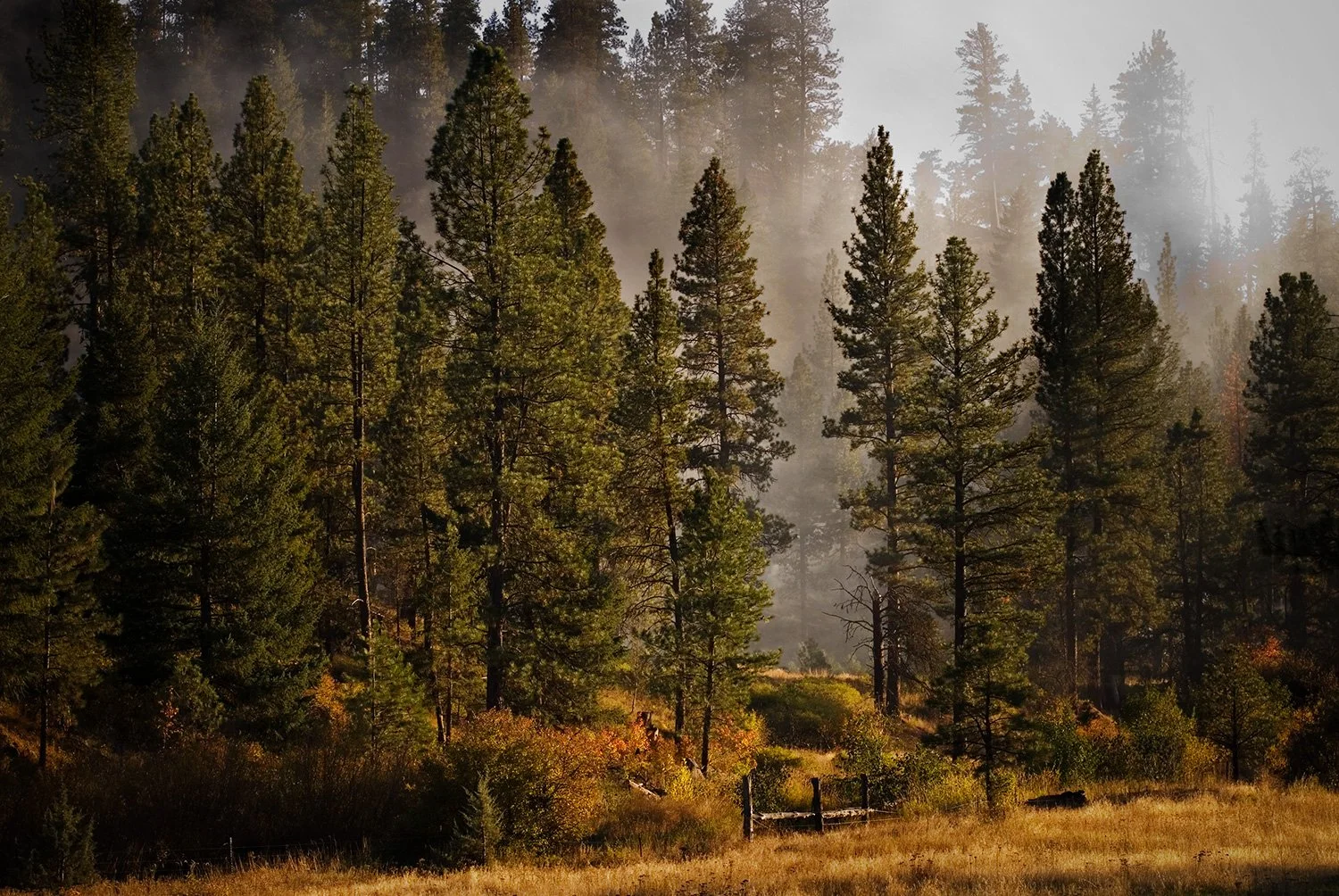 013b_Fall-Pics.jpg