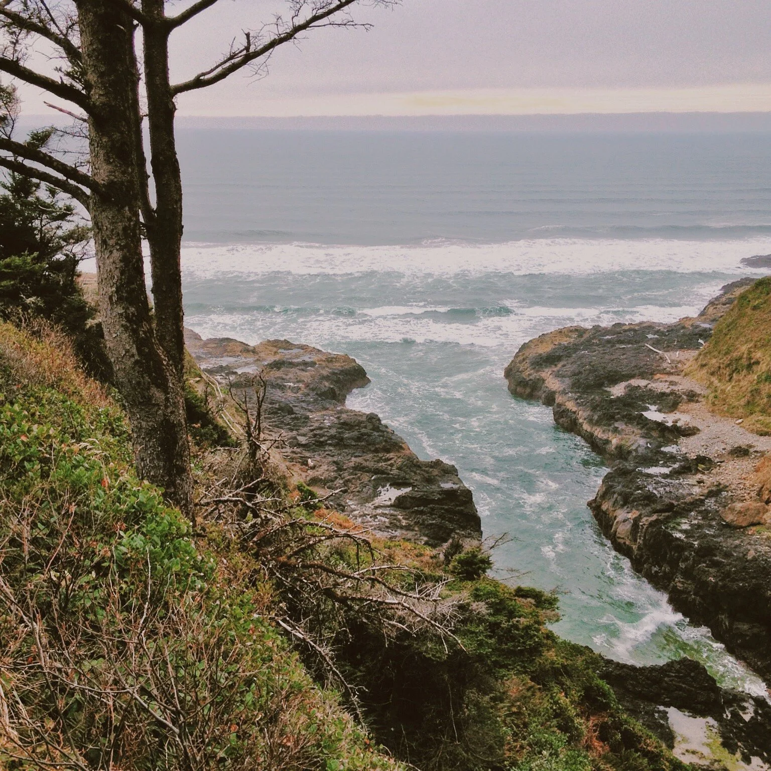 Cape Perpetua.jpg